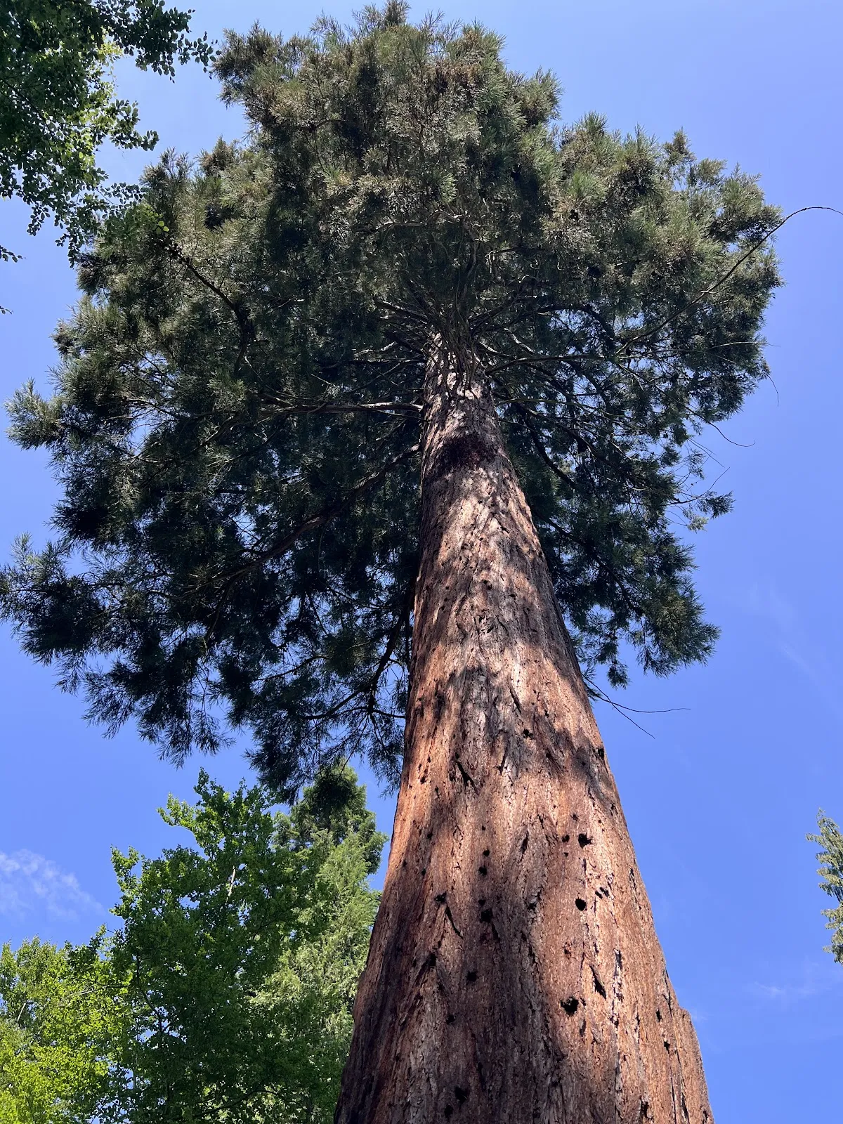 Скульптура 