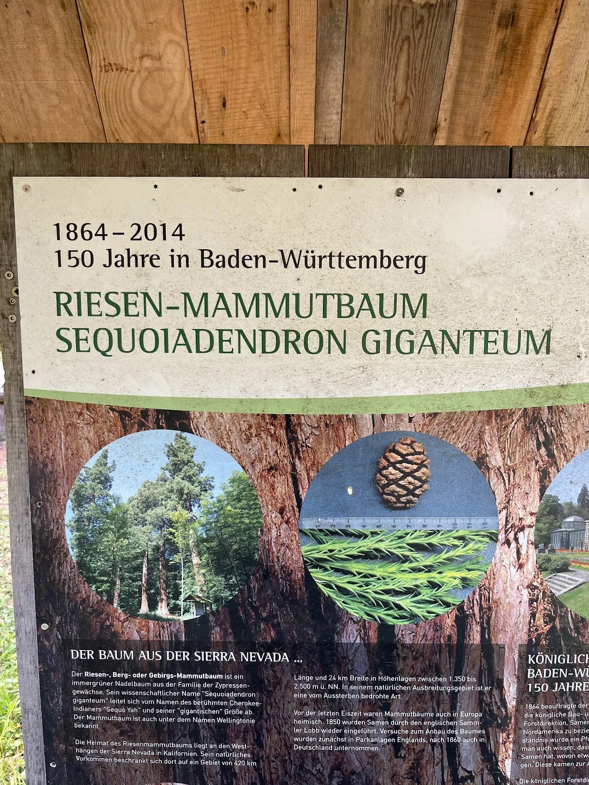 Скульптура 