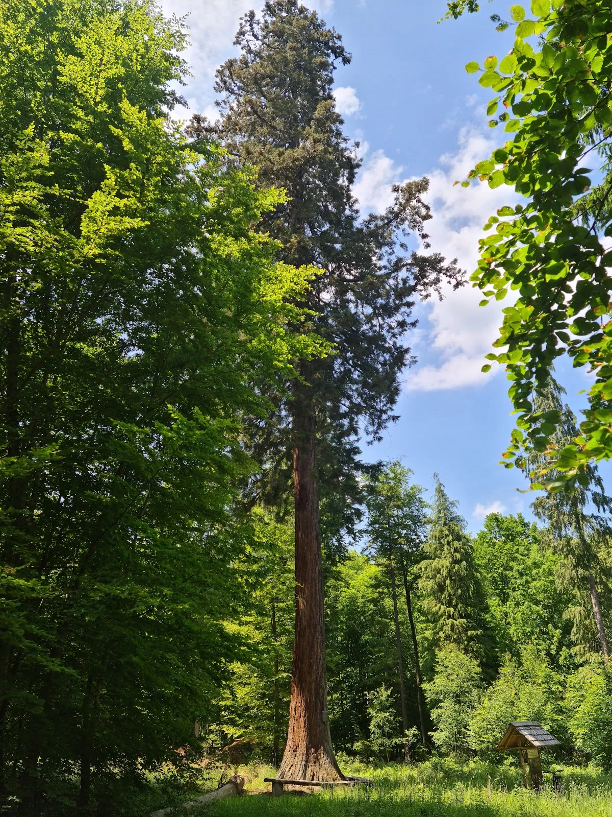 Скульптура 