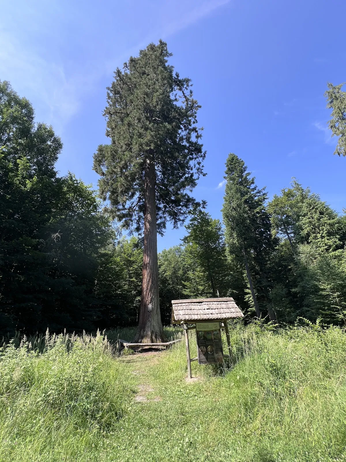 Скульптура 