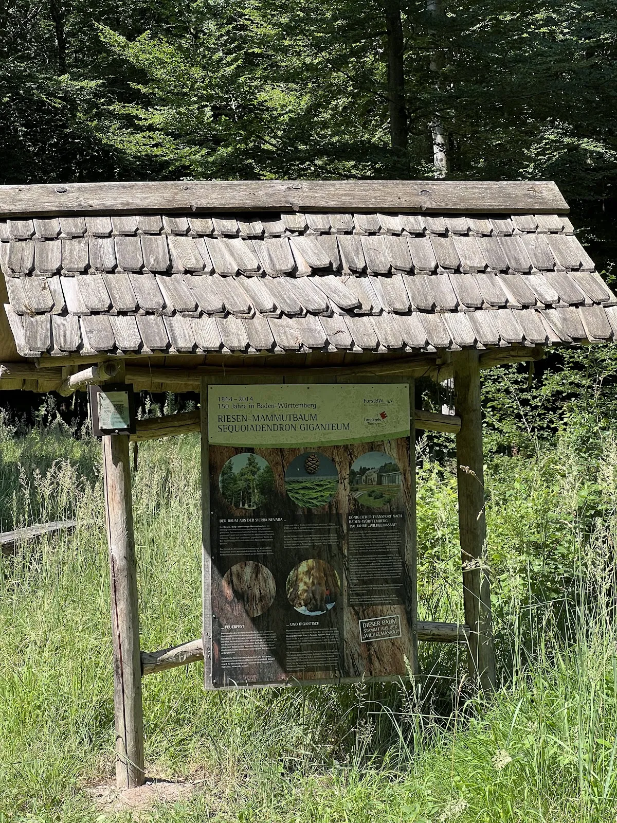 Скульптура 