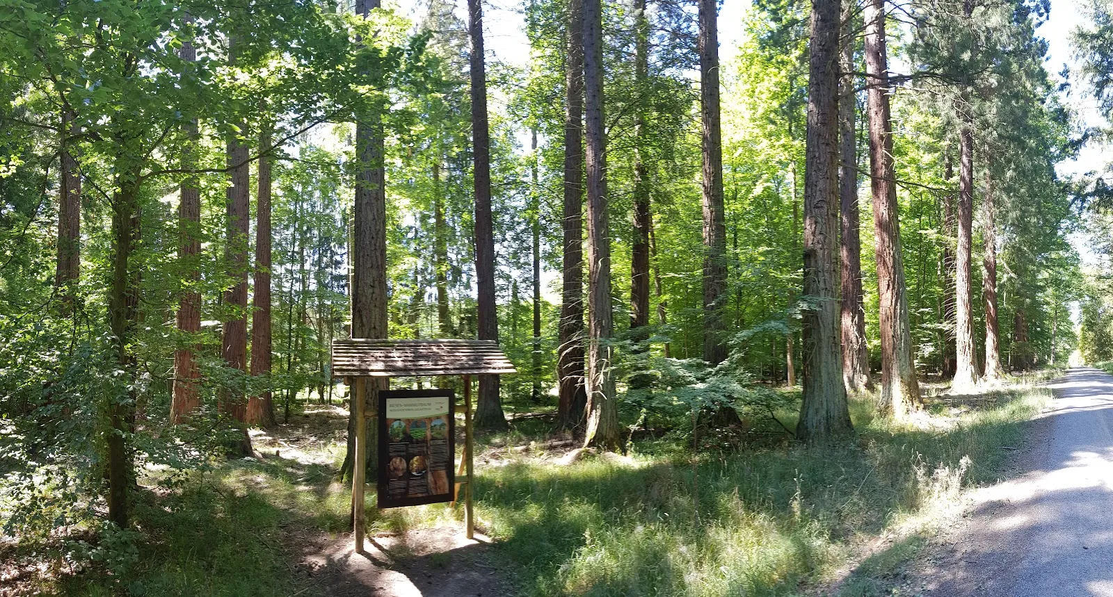 Скульптура 