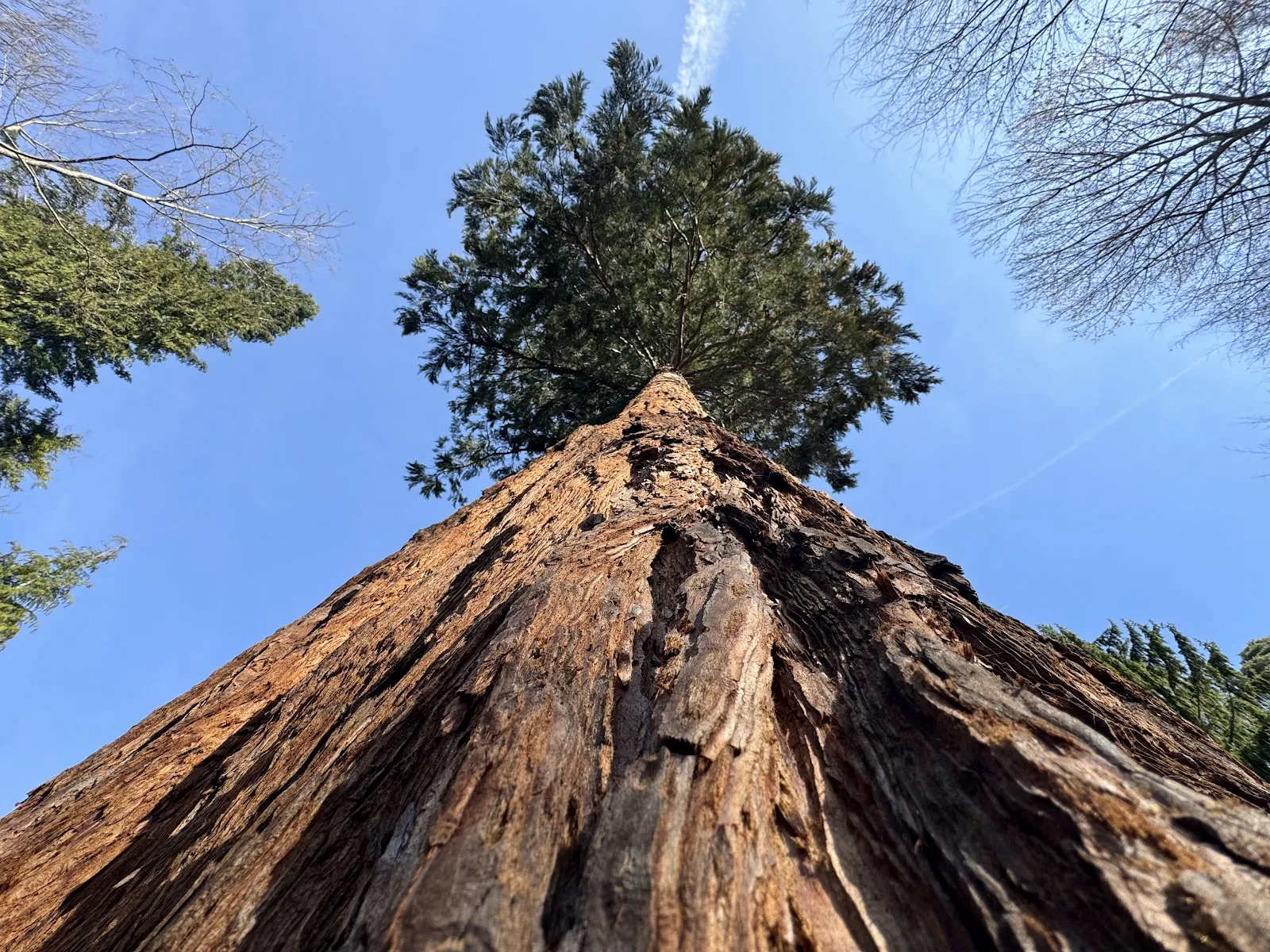 Скульптура 