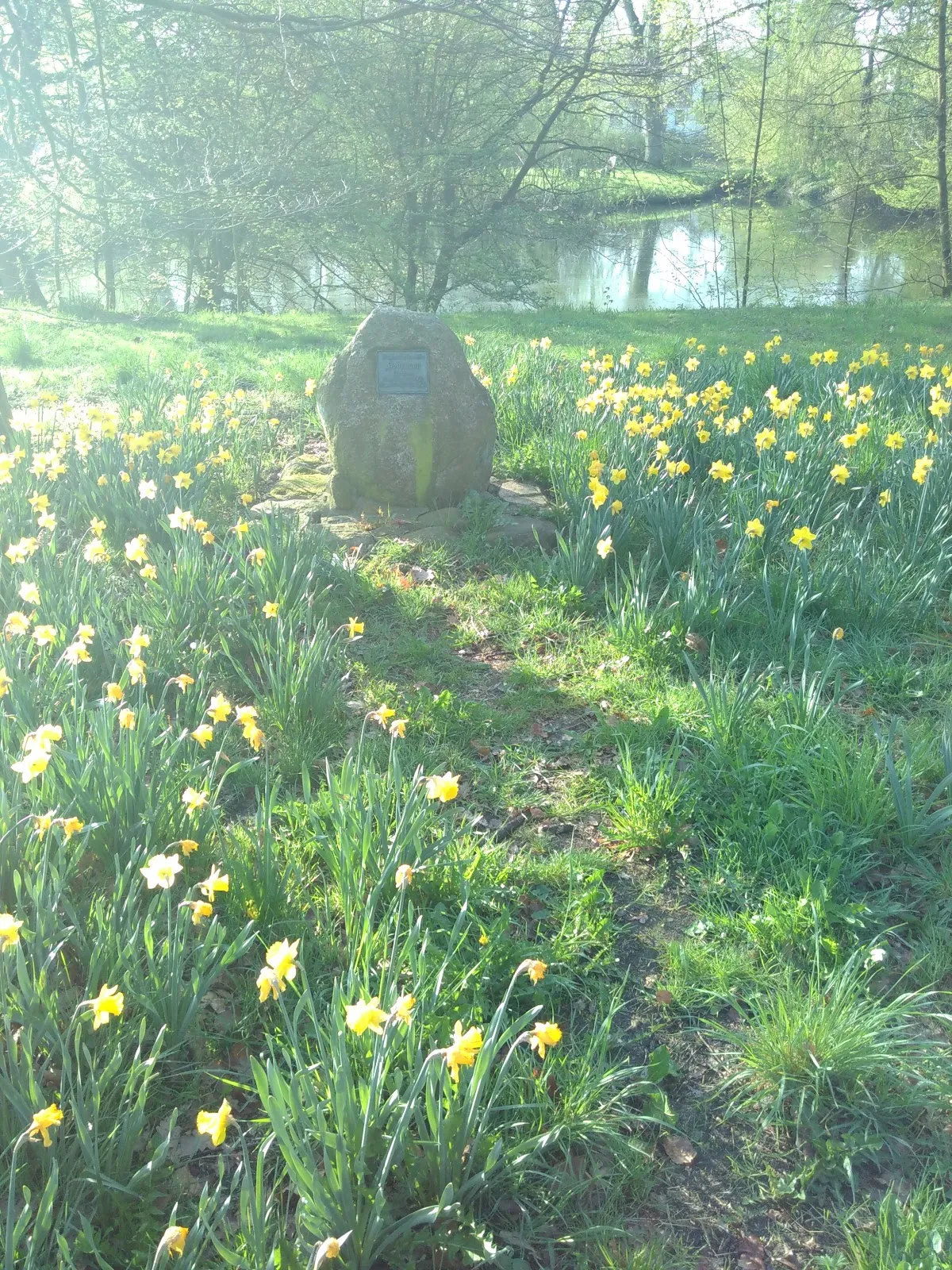 Памятник Хедемана