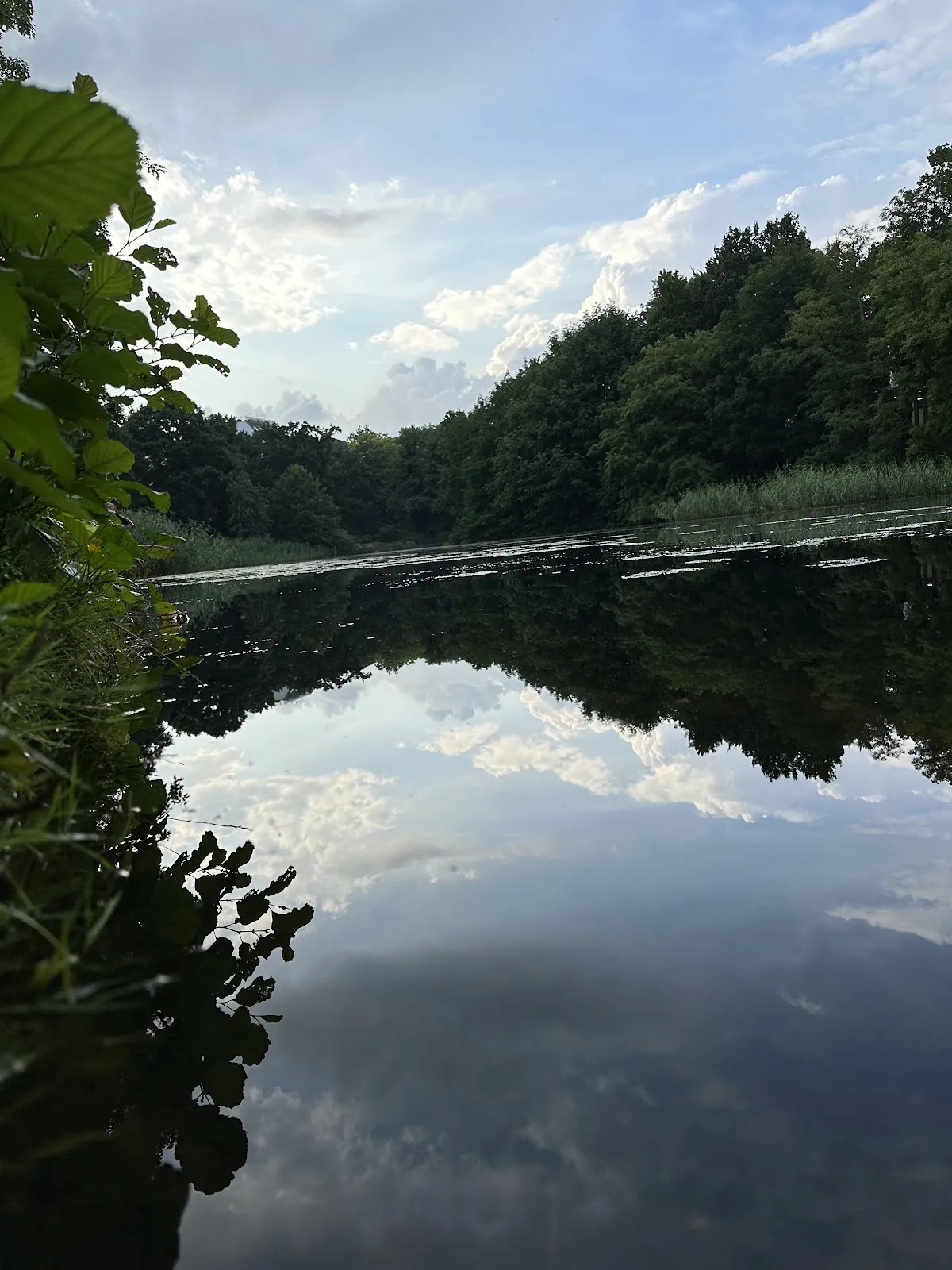 Памятник астроному Ольберсу на фоне крепостной стены в Бремене