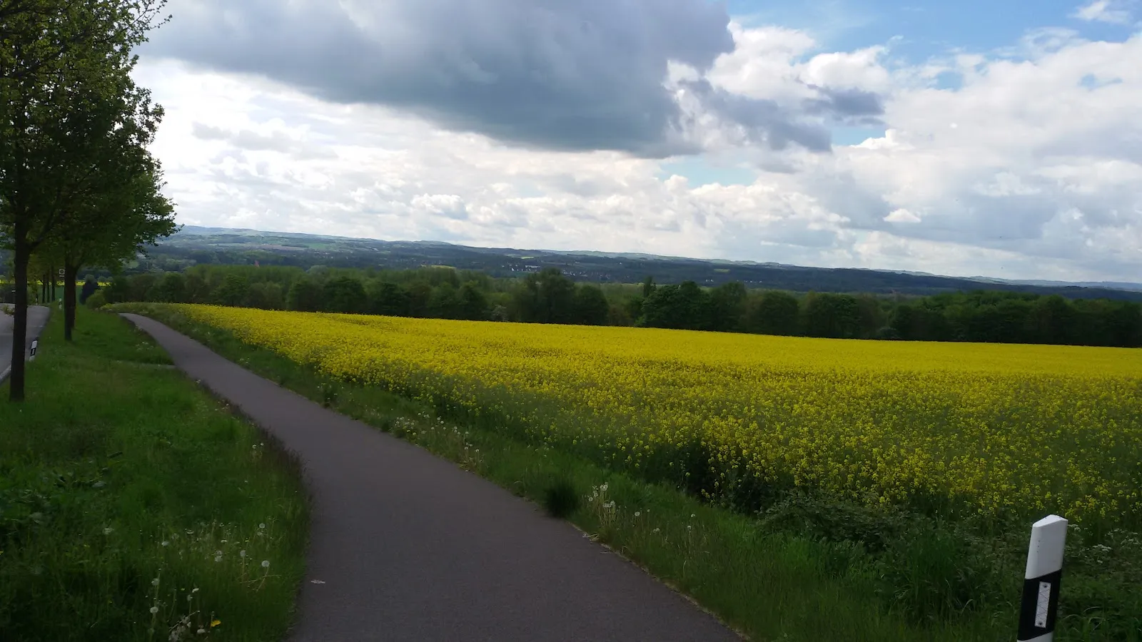 Памятник Сове, расположенный по адресу Eulenstraße 43, Фрёнденберг/Рур, Германия.