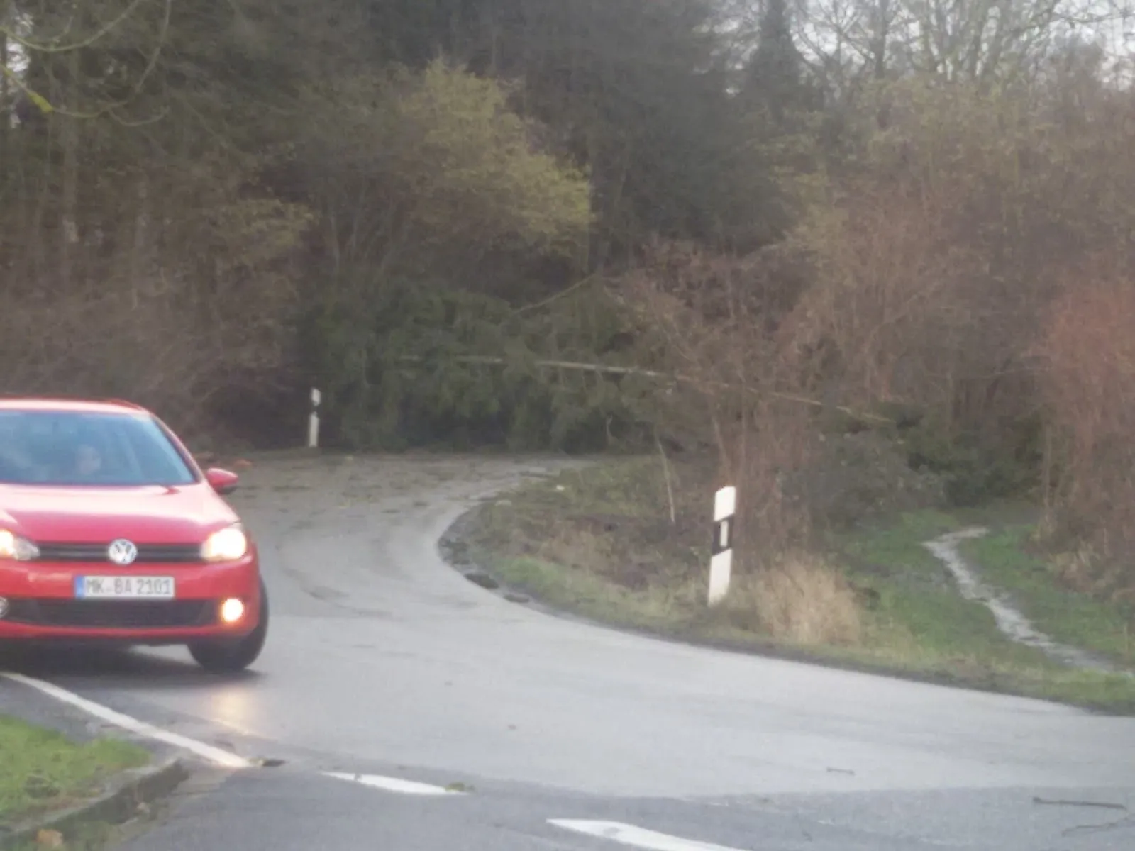 Памятник Сове, расположенный по адресу Eulenstraße 43, Фрёнденберг/Рур, Германия.