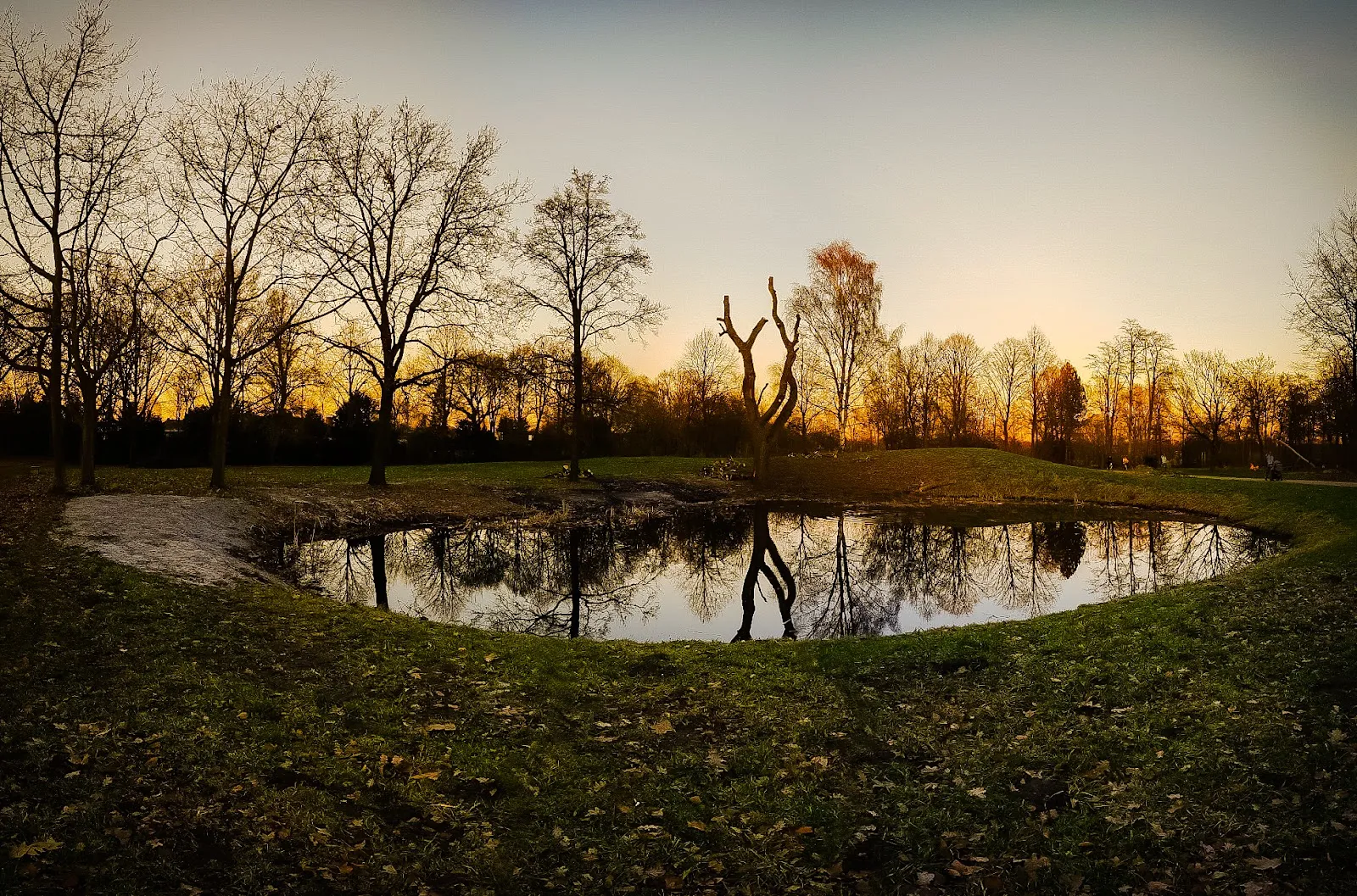 Ухоженный парк с зелеными лужайками и деревьями, где люди отдыхают.