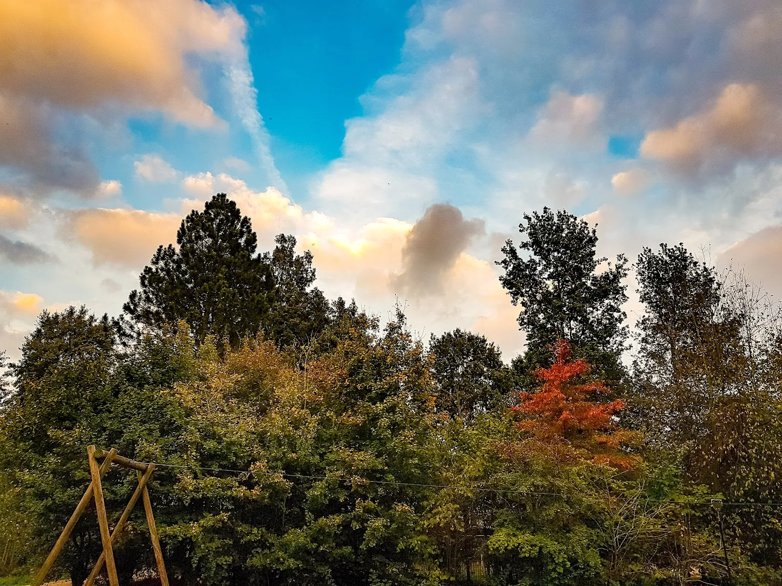 Ухоженный парк с зелеными лужайками и деревьями, где люди отдыхают.