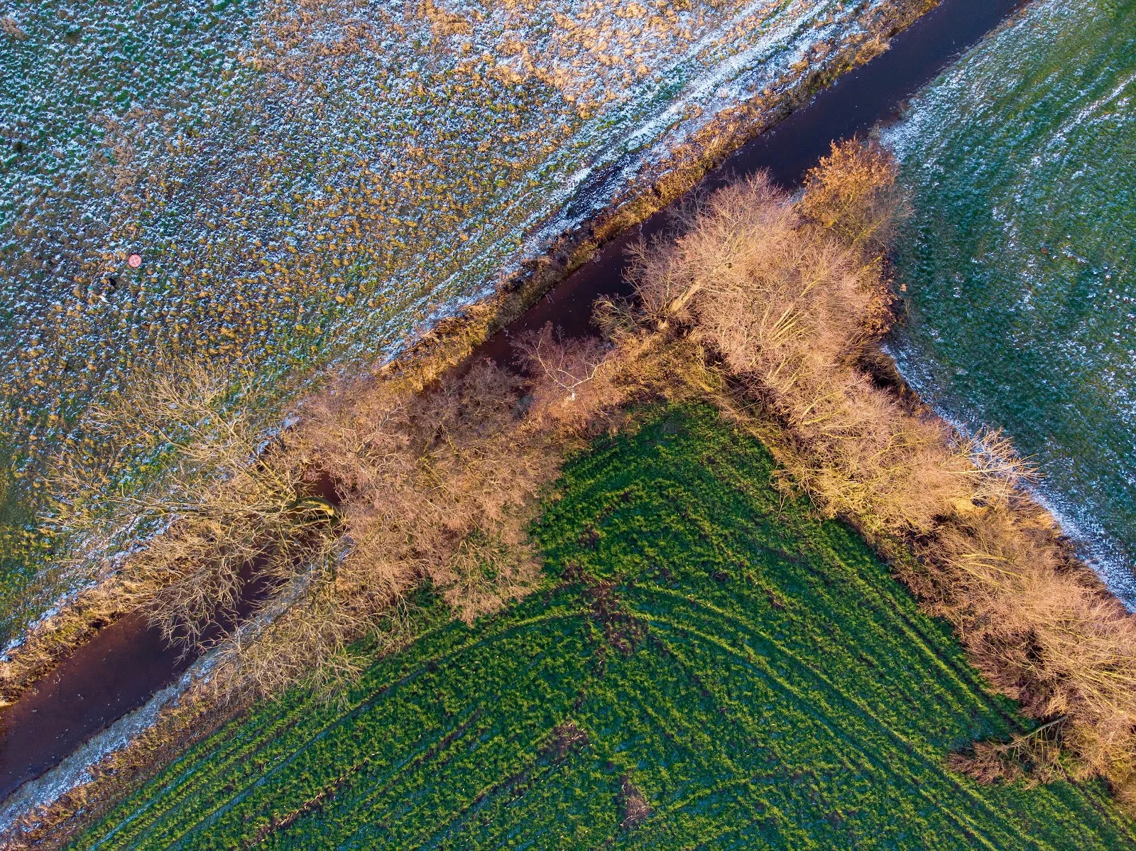 Ухоженный парк с зелеными лужайками и деревьями, где люди отдыхают.