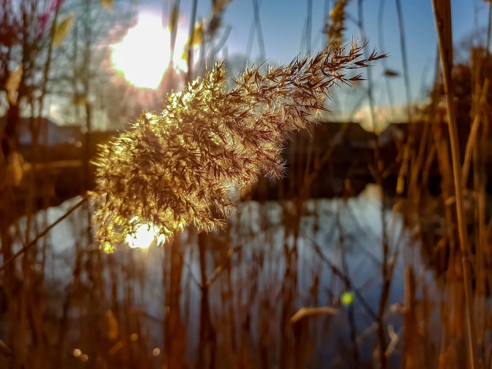 Ухоженный парк с зелеными лужайками и деревьями, где люди отдыхают.
