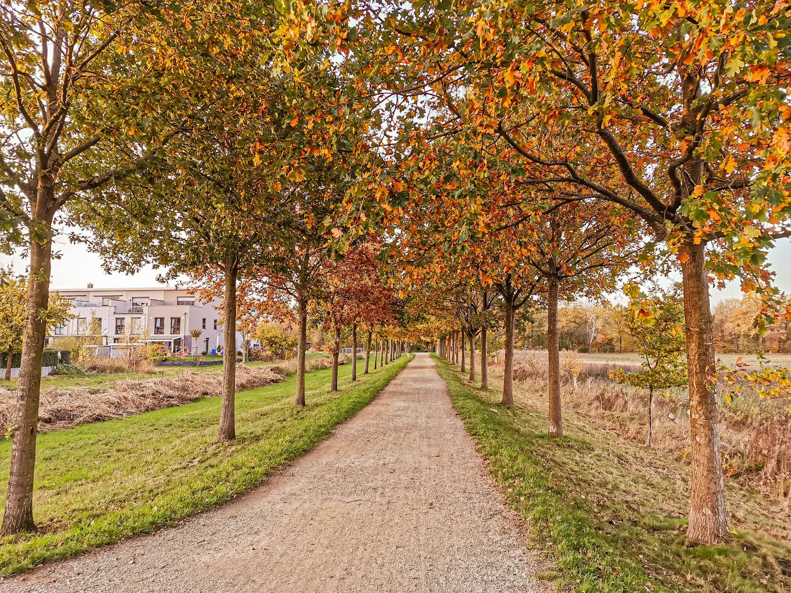 Ухоженный парк с зелеными лужайками и деревьями, где люди отдыхают.