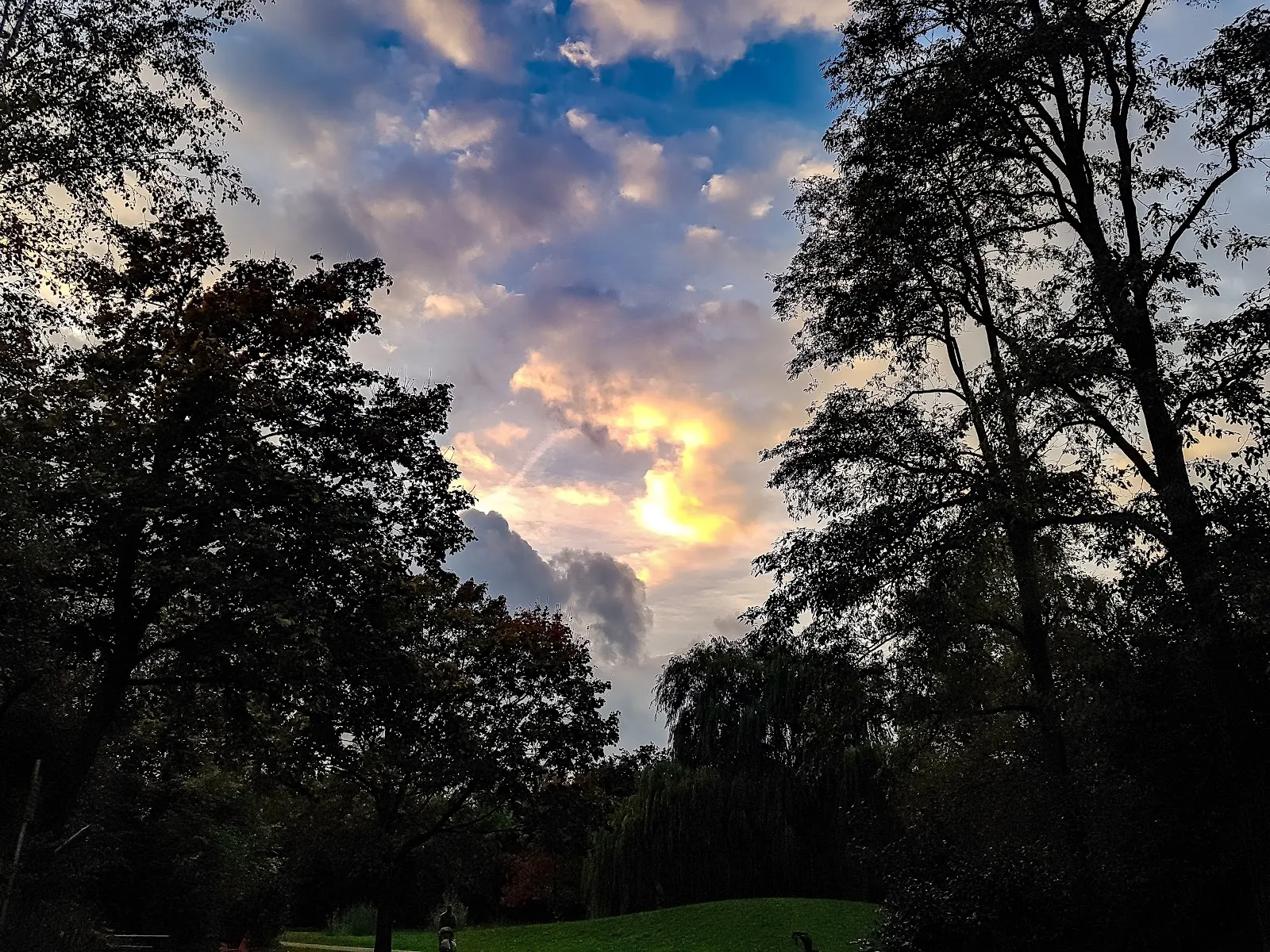 Ухоженный парк с зелеными лужайками и деревьями, где люди отдыхают.
