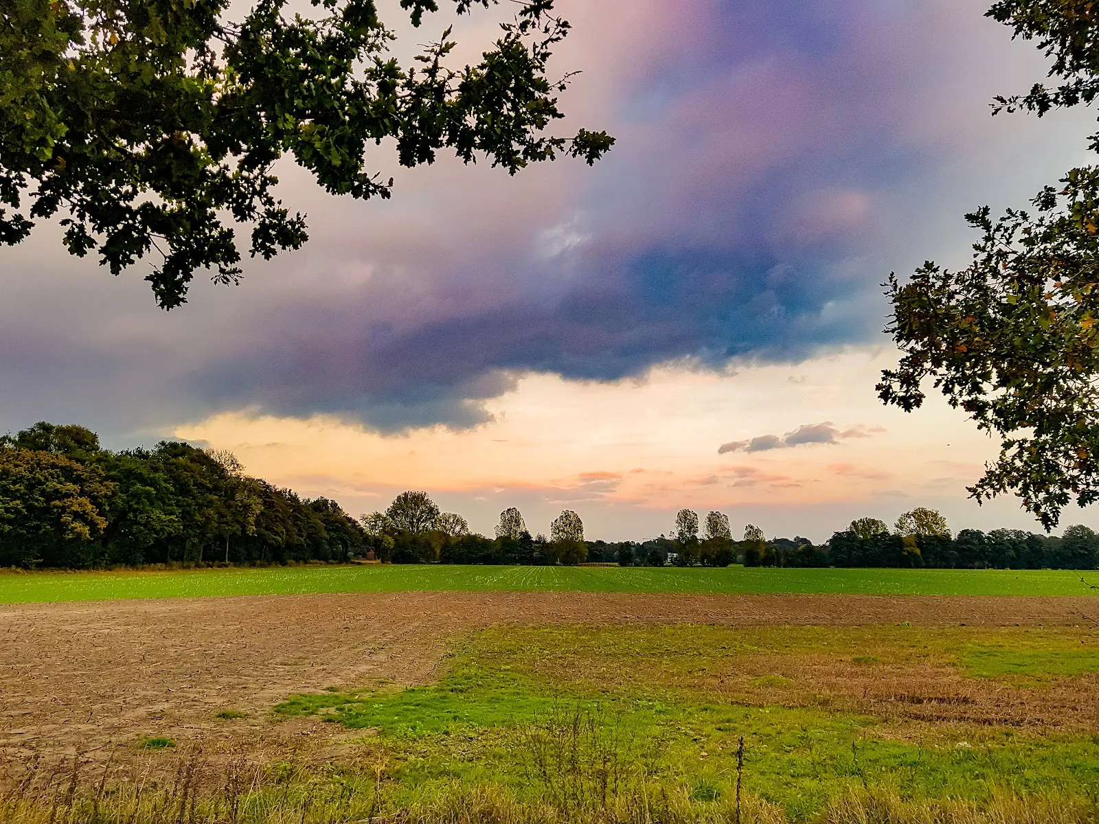 Ухоженный парк с зелеными лужайками и деревьями, где люди отдыхают.