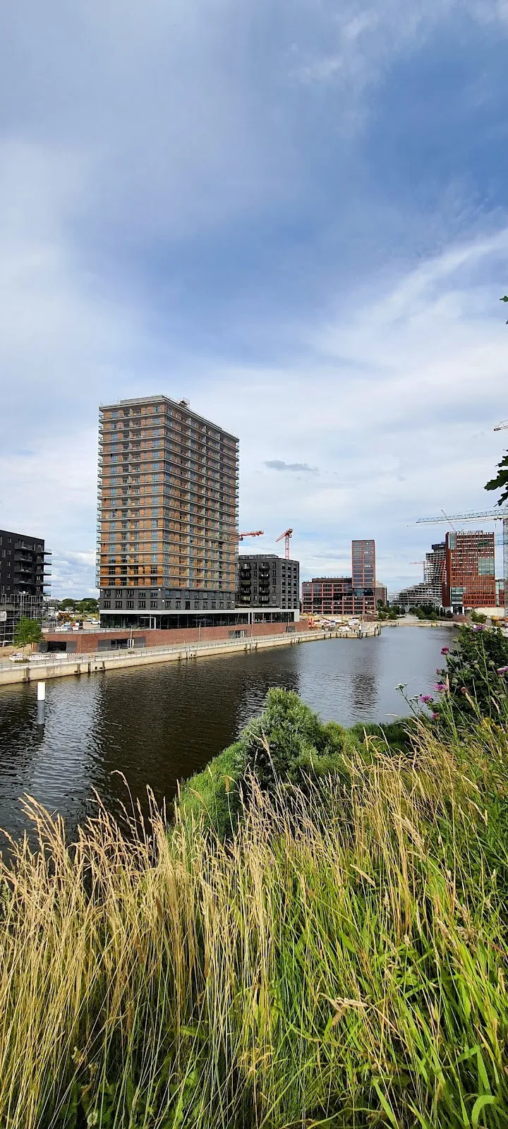 Парк Баакен в Гамбурге с зелеными насаждениями и пешеходными дорожками