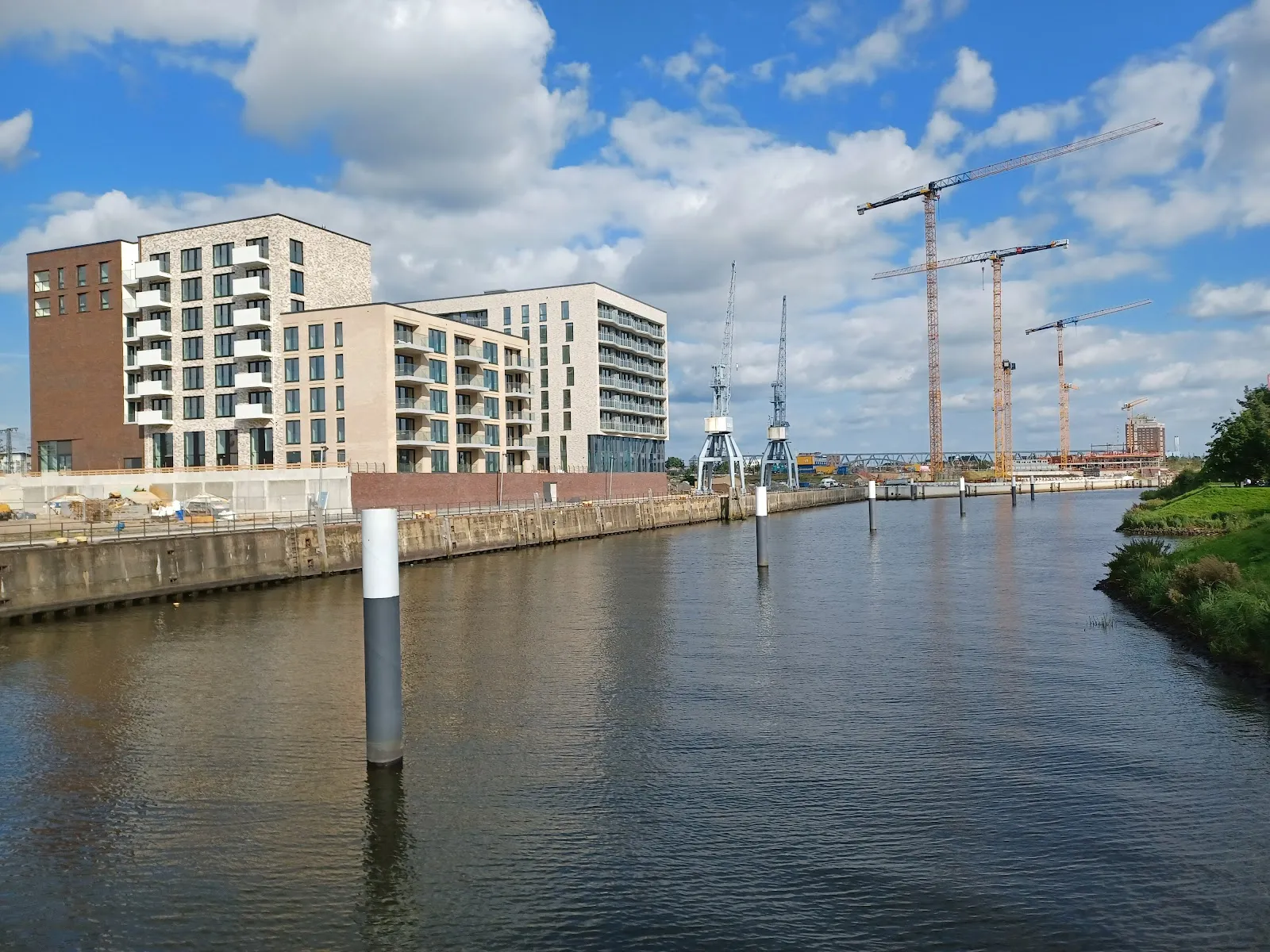 Парк Баакен в Гамбурге с зелеными насаждениями и пешеходными дорожками