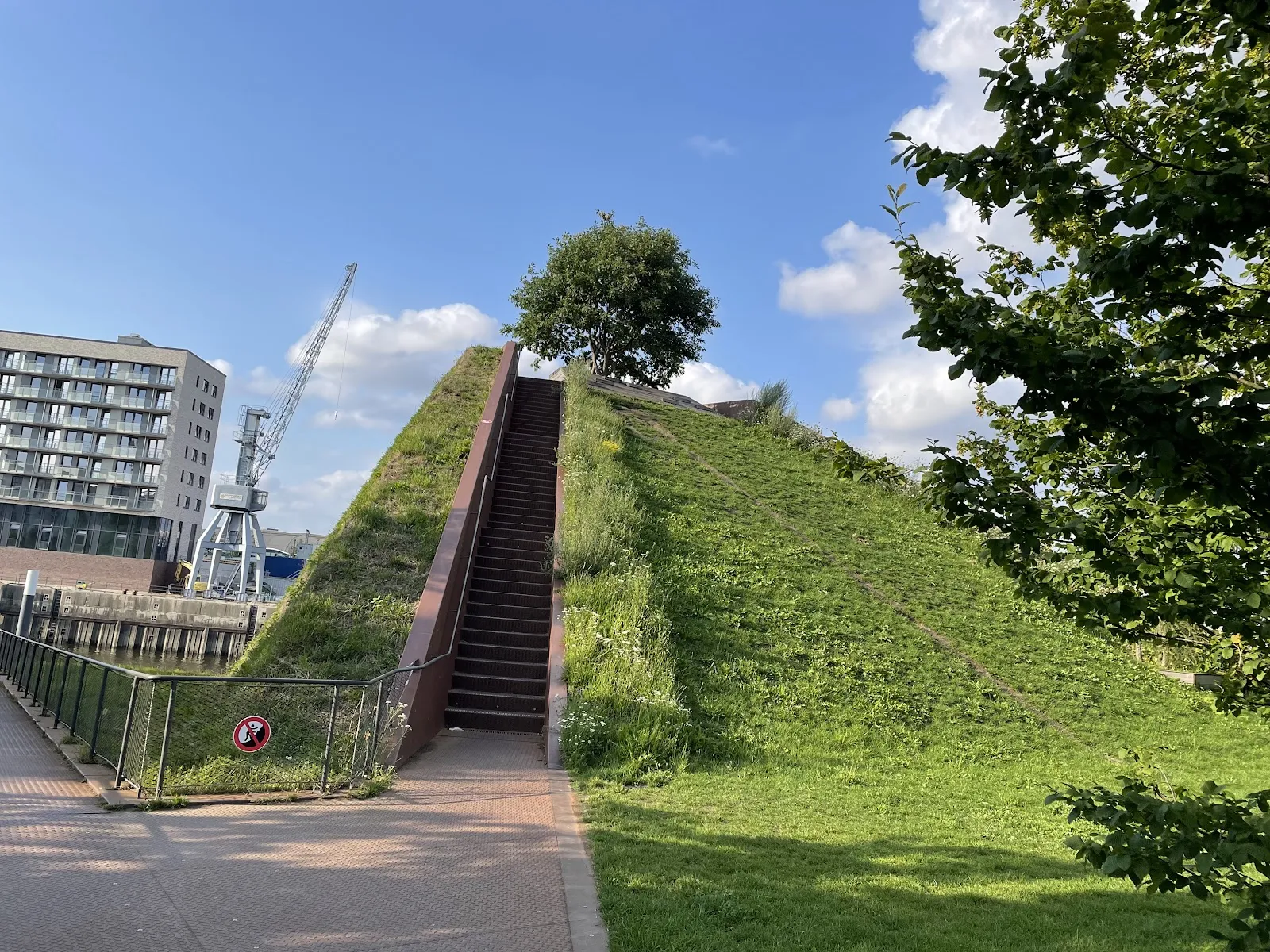 Парк Баакен в Гамбурге с зелеными насаждениями и пешеходными дорожками