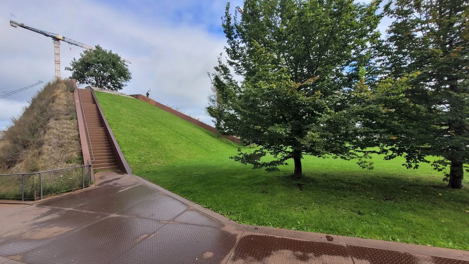 Парк Баакен в Гамбурге с зелеными насаждениями и пешеходными дорожками