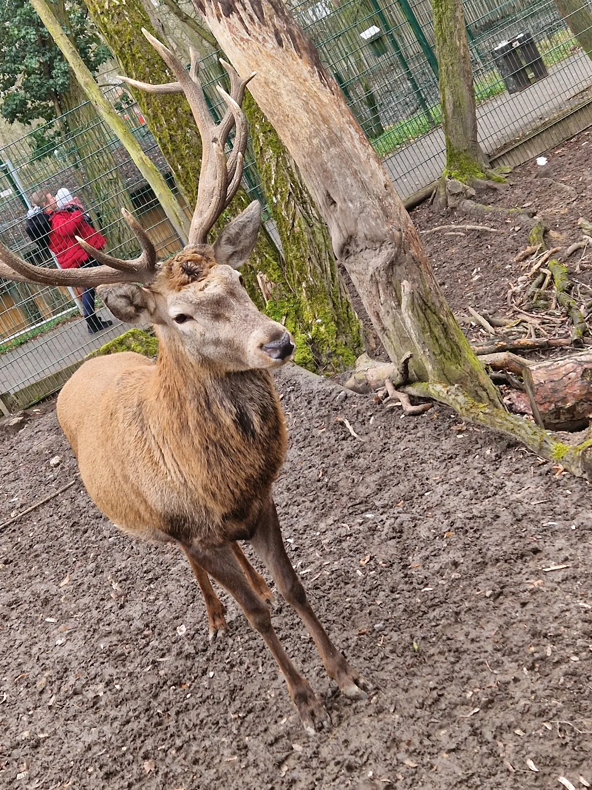 Парк Гонзенхаймер Вильд