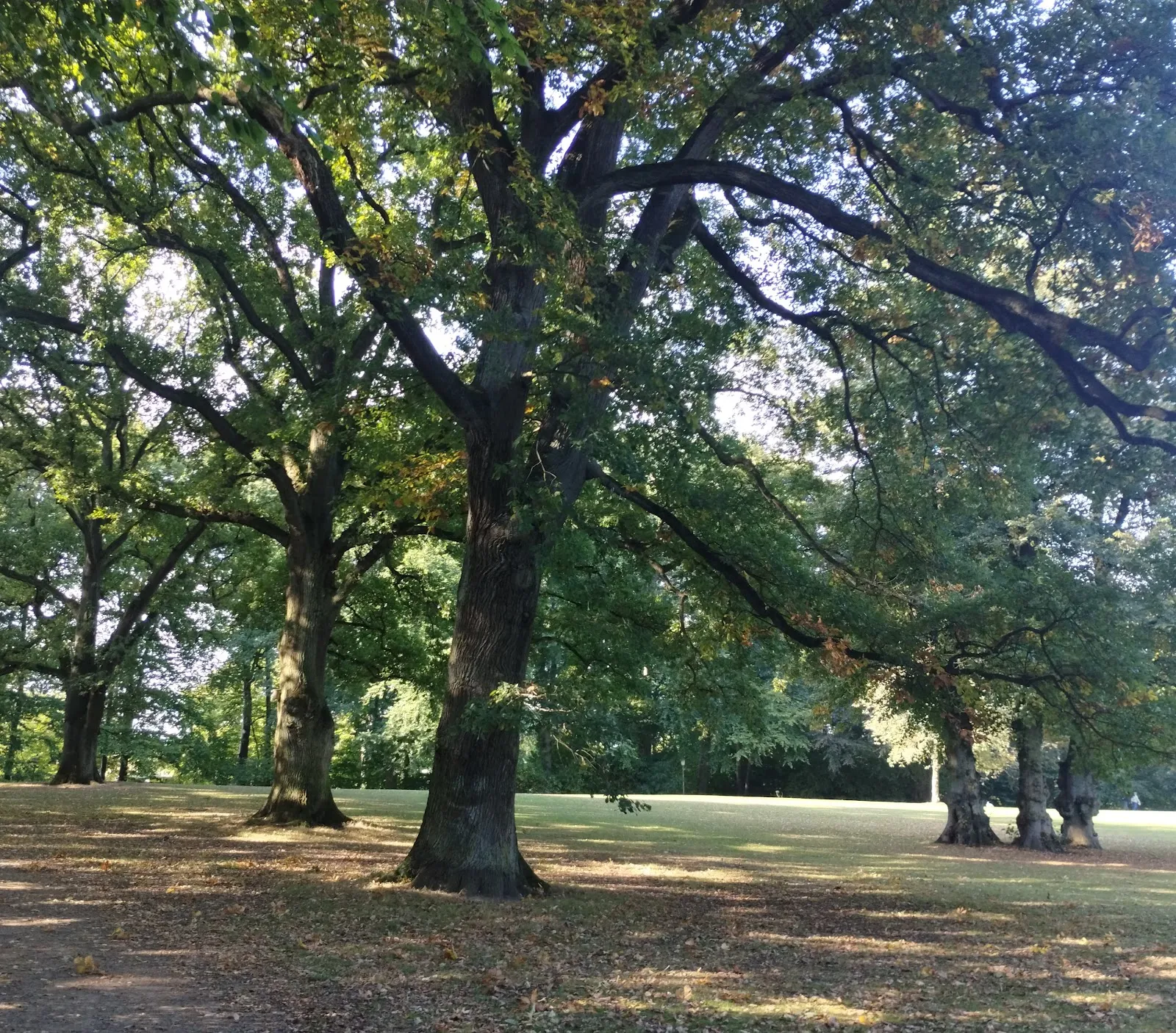 Парк Госслерс