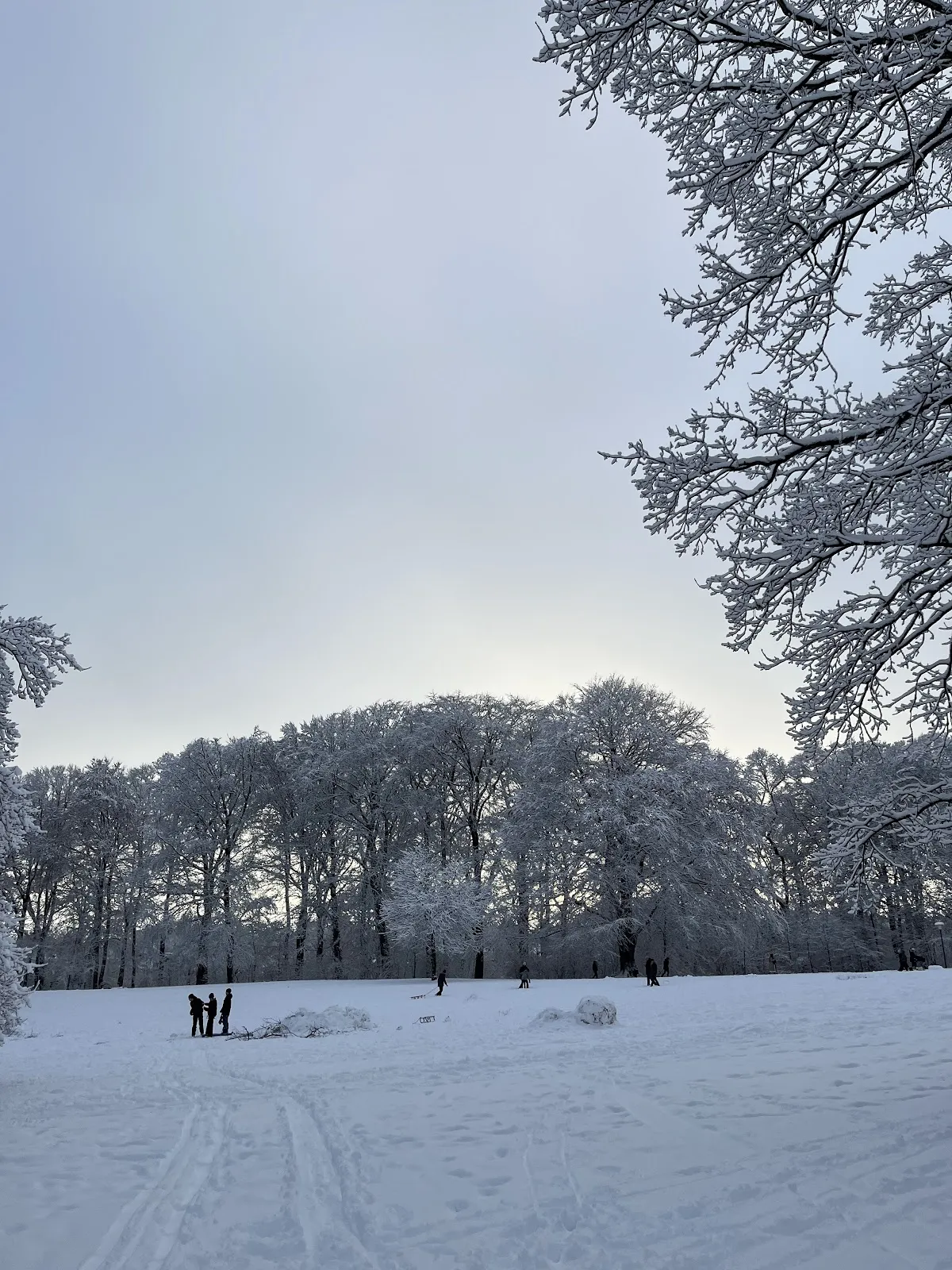 Парк Госслерс