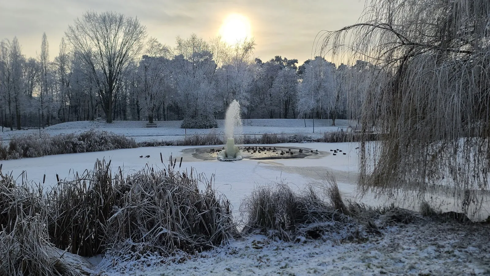 Парк Хайнц-Ланг с зелеными насаждениями и дорожками