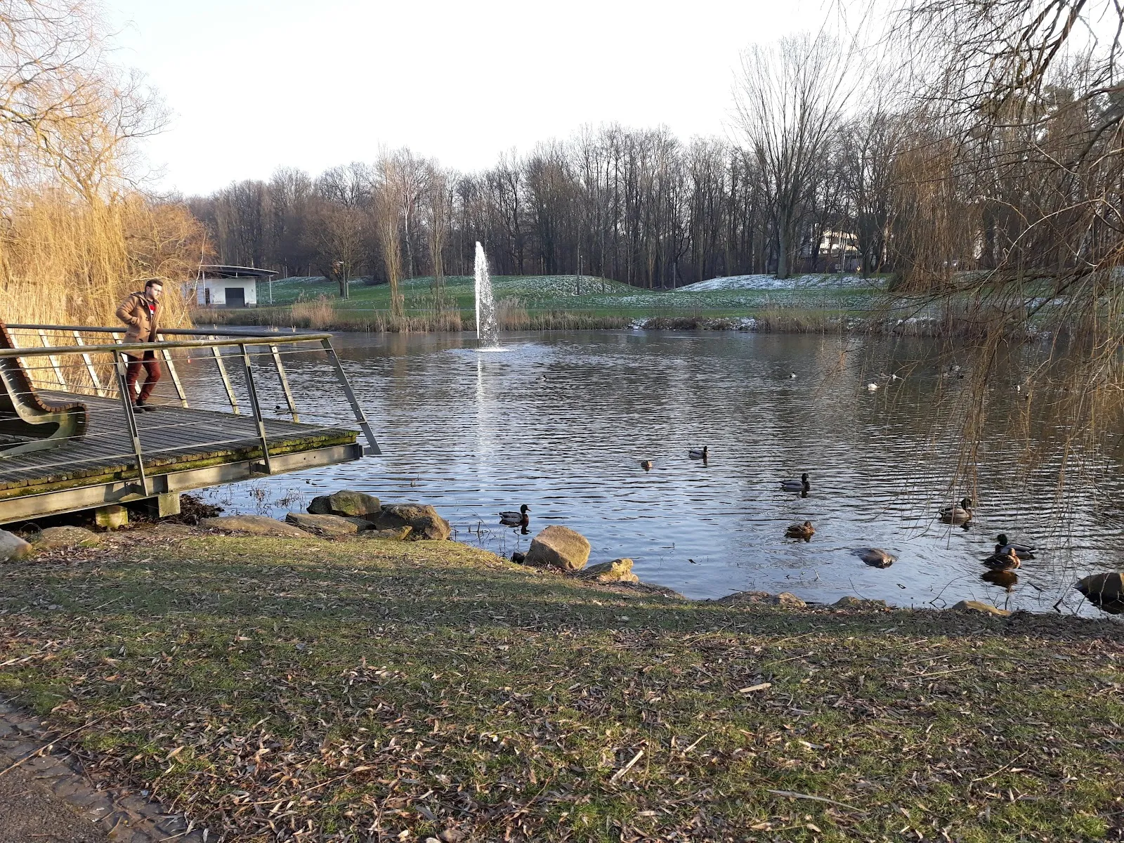 Парк Хайнц-Ланг с зелеными насаждениями и дорожками