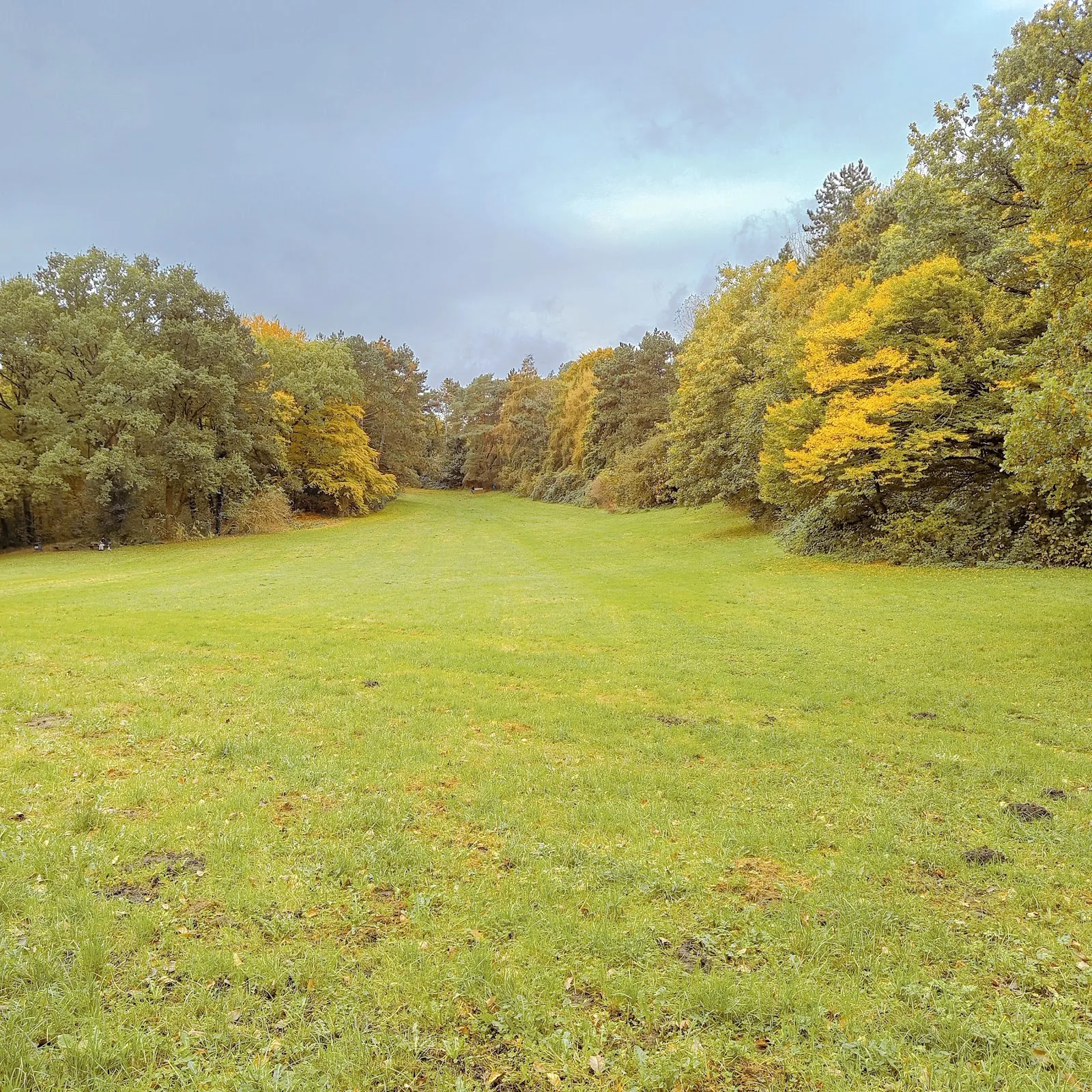 Парк Хорнер