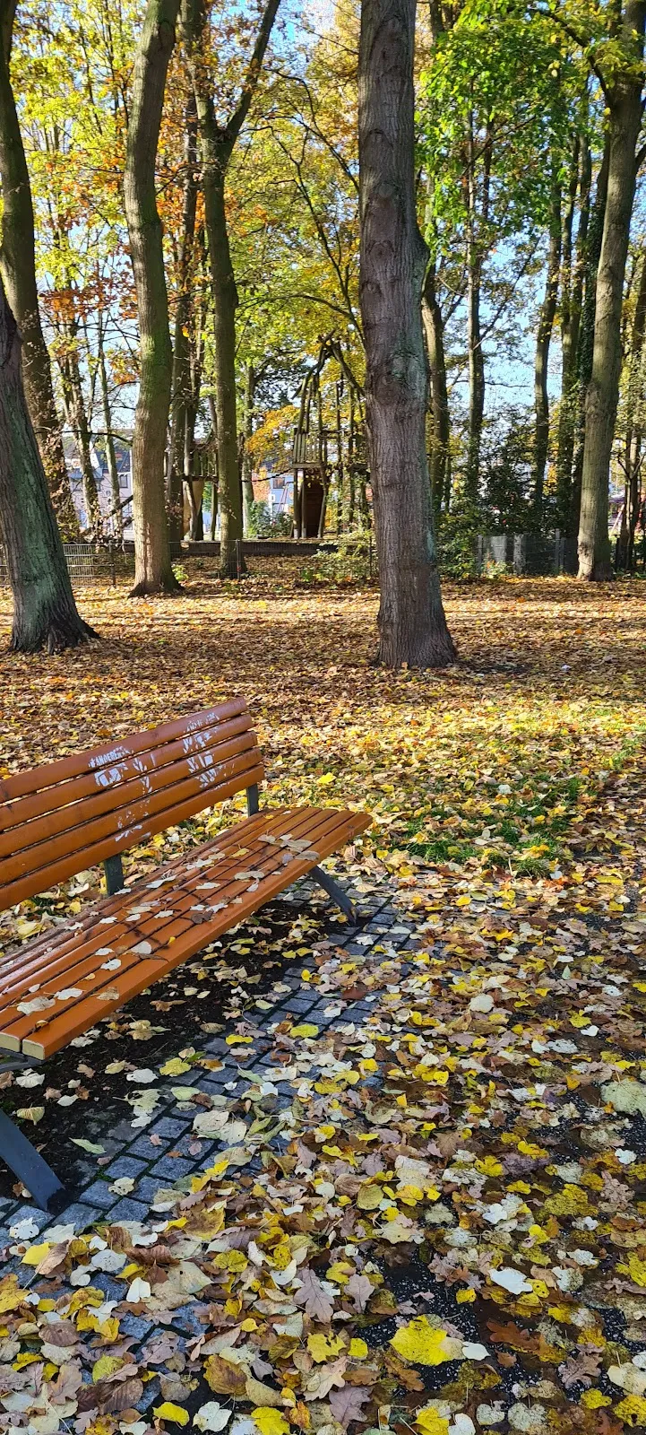 Зеленый парк Хуккельридер в Бремене с деревьями и тропинками