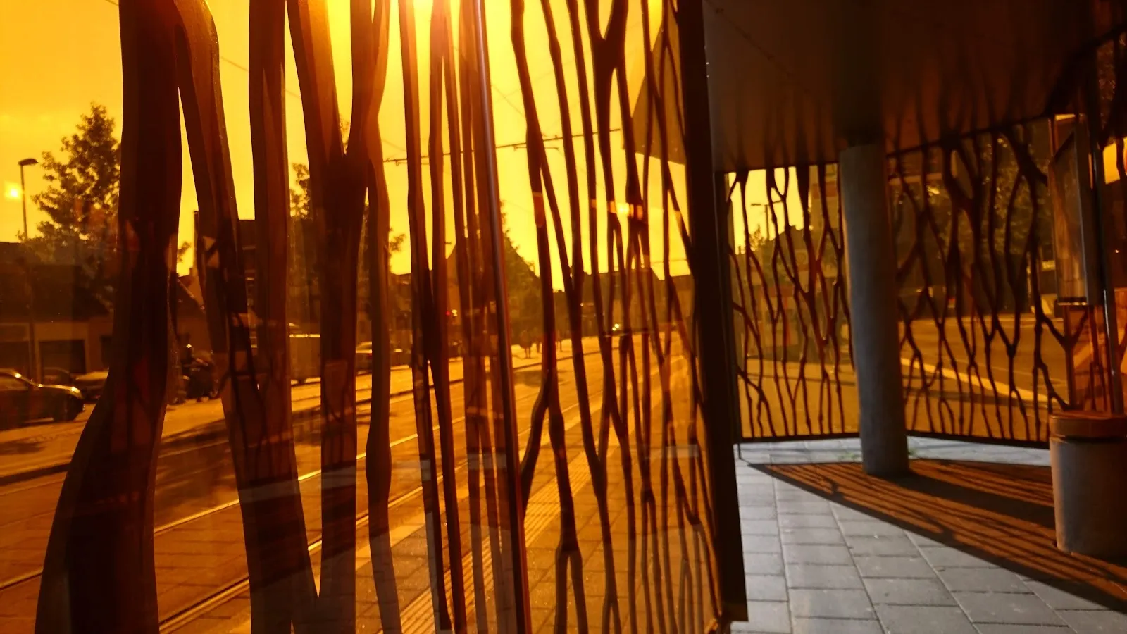 Зеленый парк Хуккельридер в Бремене с деревьями и тропинками