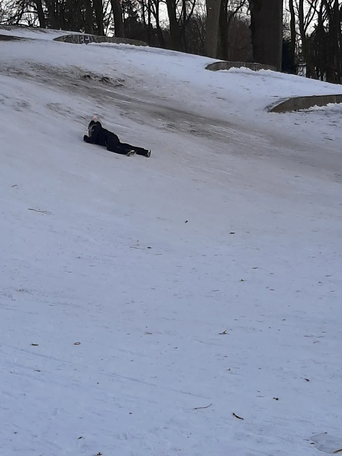 Зеленый парк Хуккельридер в Бремене с деревьями и тропинками