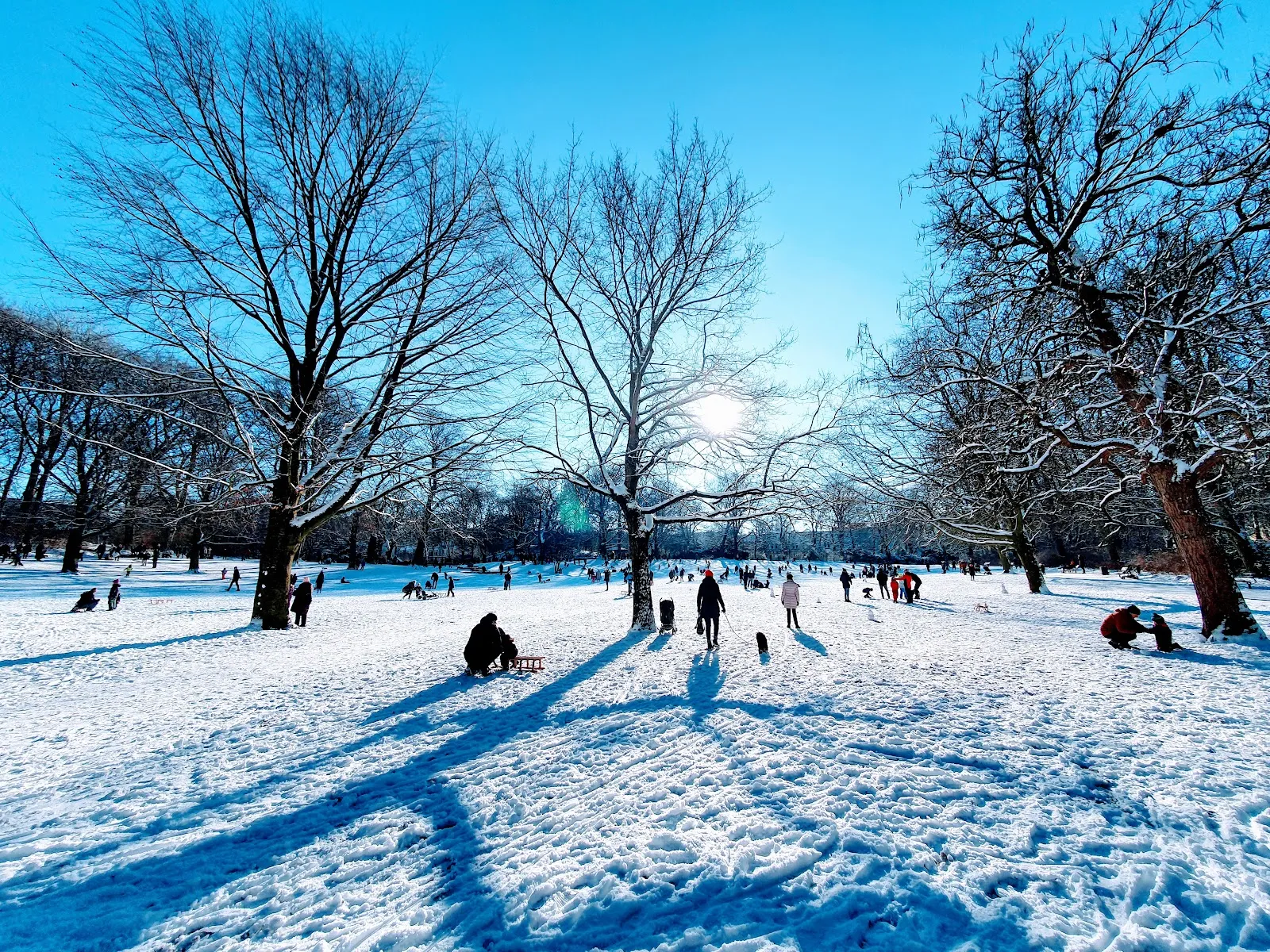 Парк Инноцентии в Гамбурге