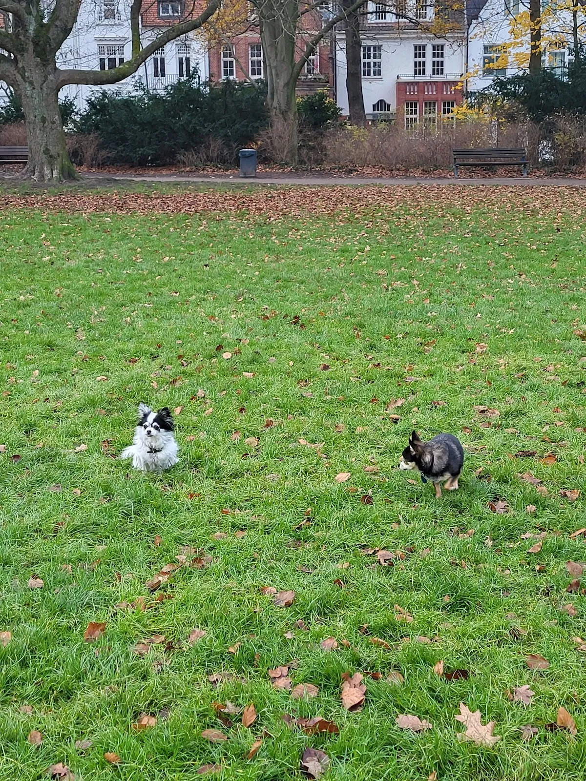 Парк Инноцентии в Гамбурге