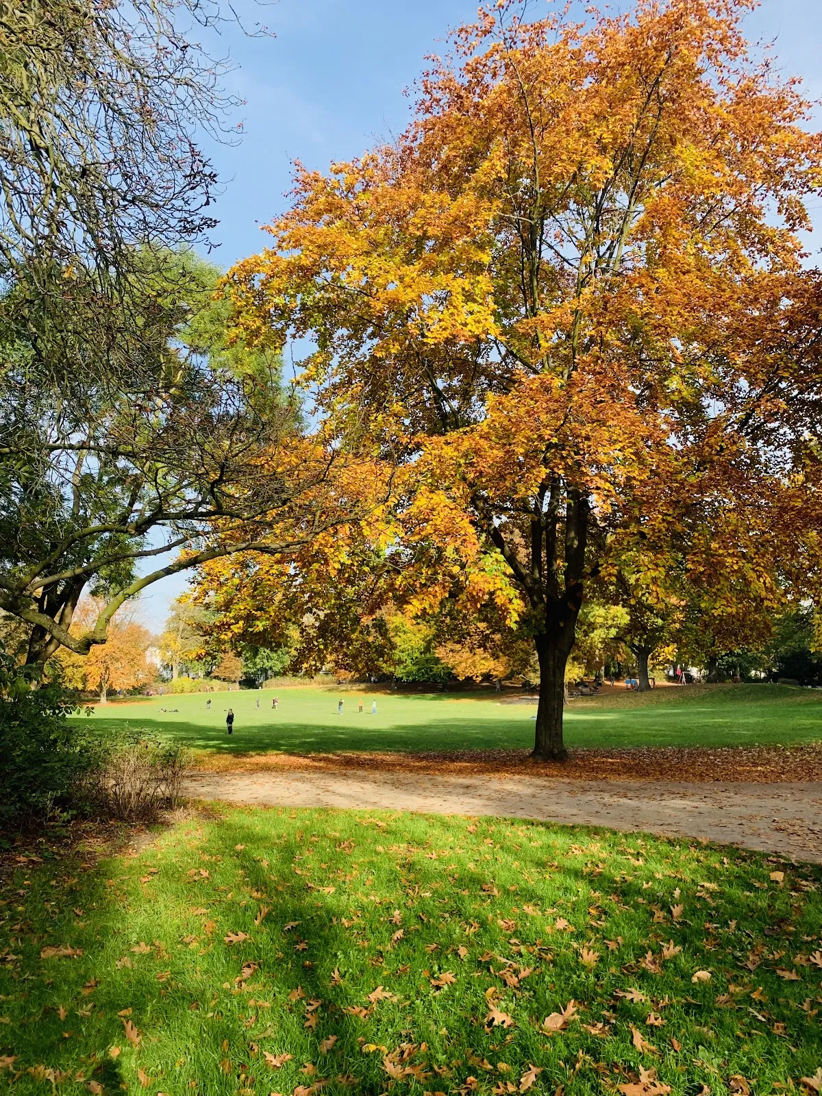 Парк Инноцентии в Гамбурге