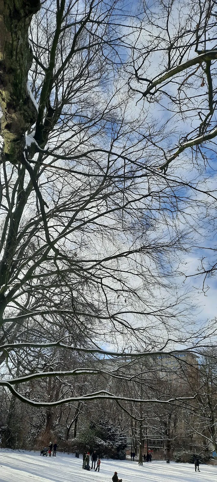 Парк Инноцентии в Гамбурге