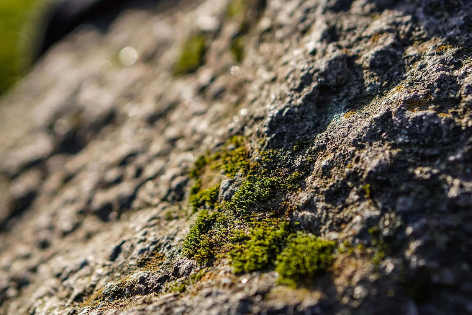 Зелёная зона парка Карла Гёрделера в Бремене