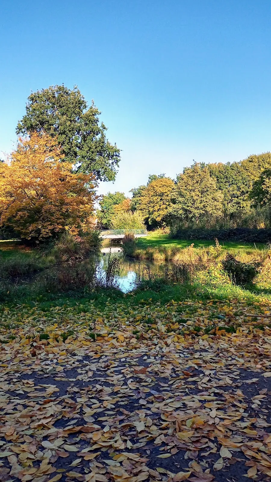 Парк Каттенешер Флет в Бремене