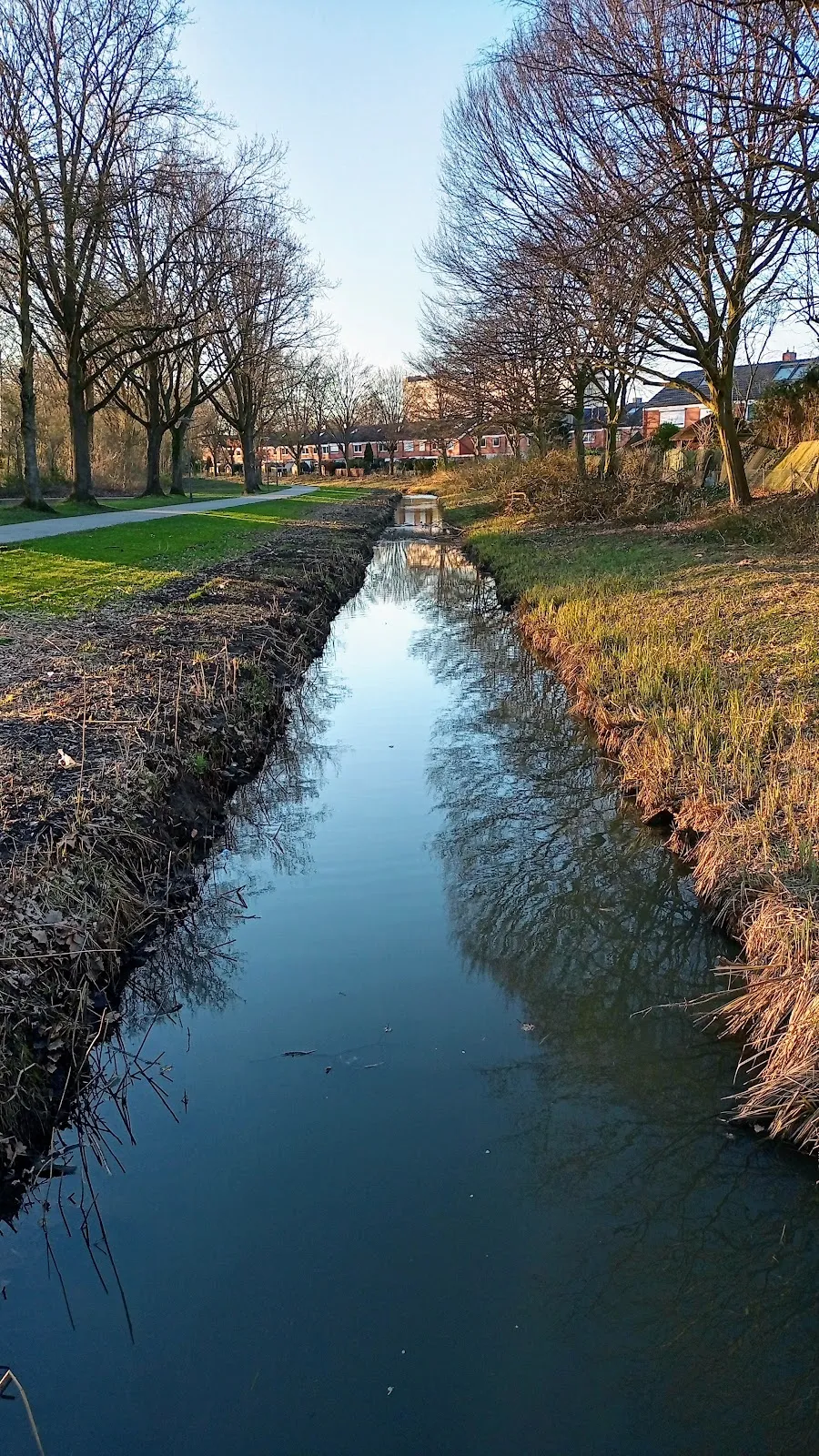 Парк Каттенешер Флет в Бремене