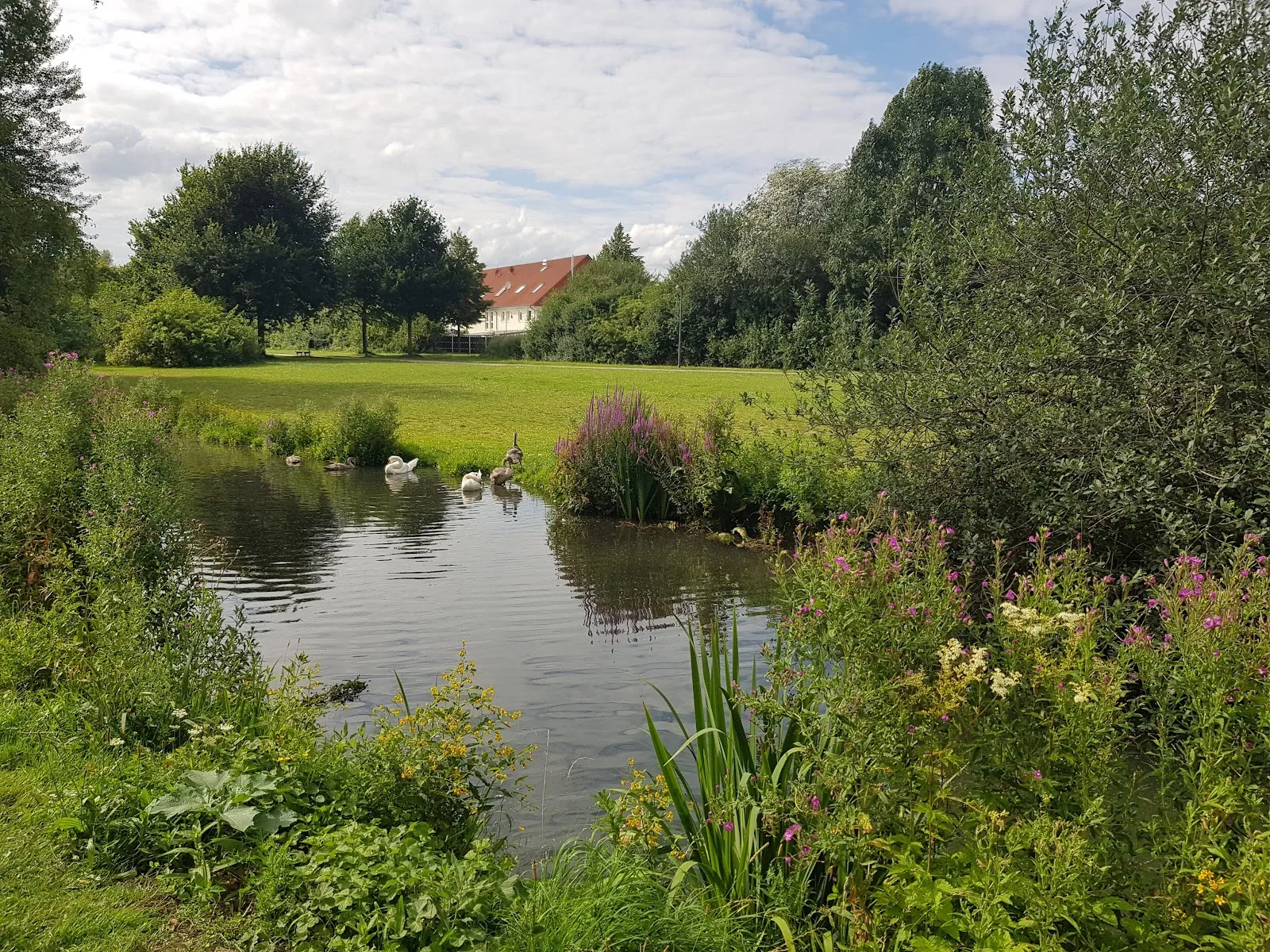 Парк Каттенешер Флет в Бремене
