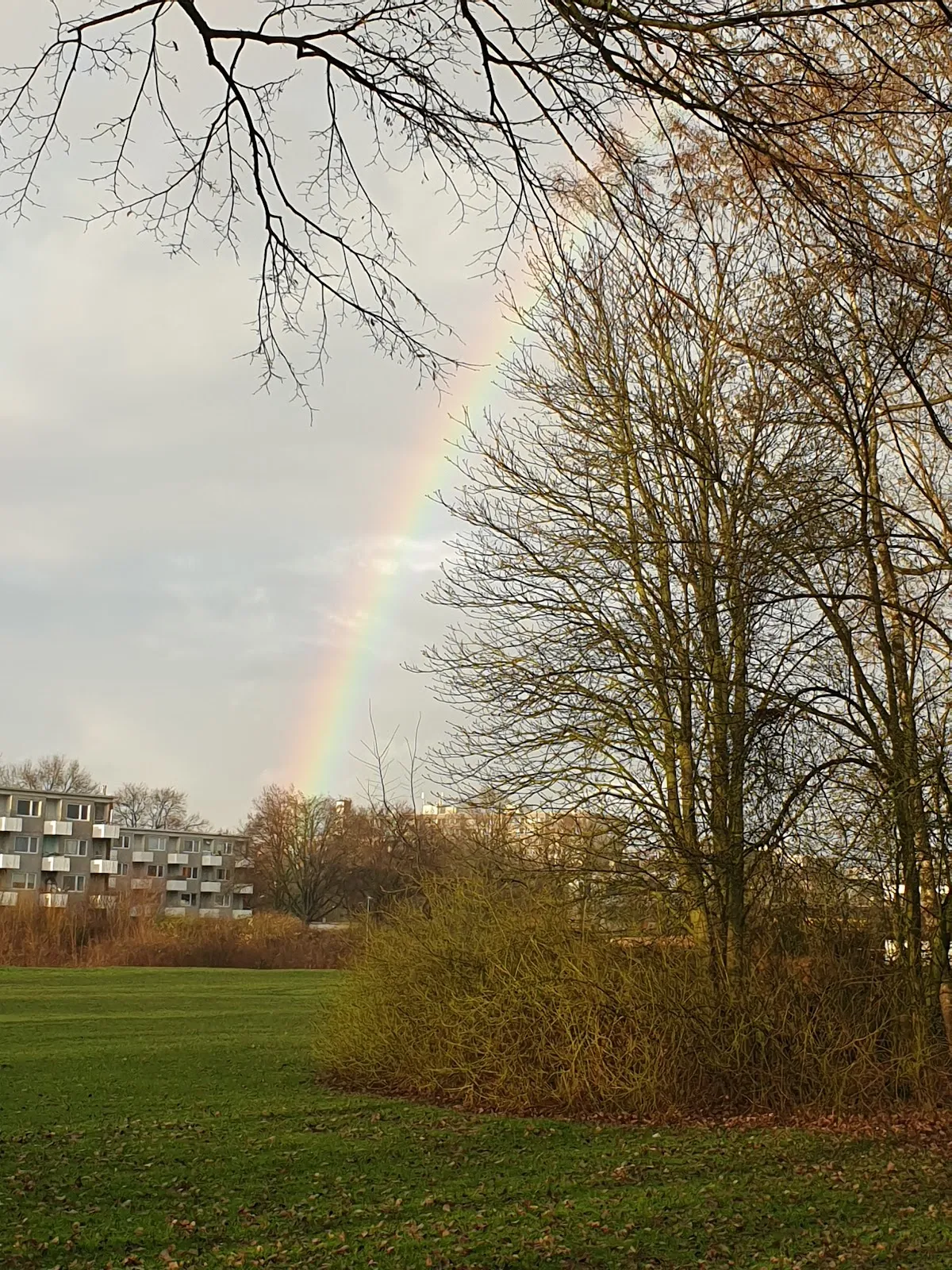 Парк Каттенешер Флет в Бремене