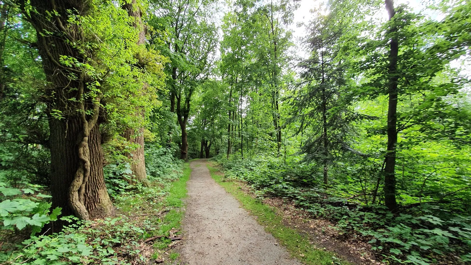 Вид на Парк Клостер с элементами исторической архитектуры и зелеными насаждениями