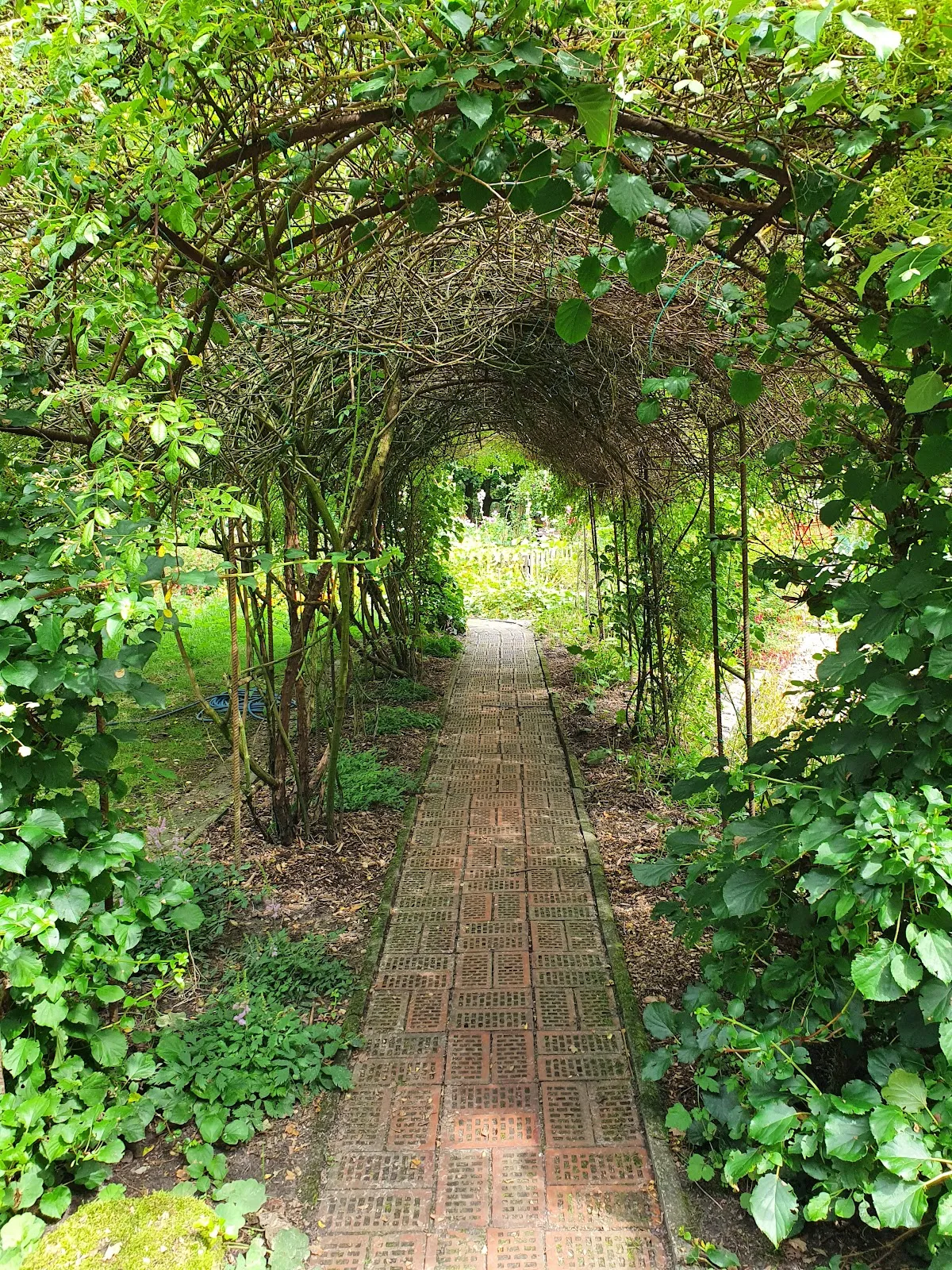 Вид на Парк Клостер с элементами исторической архитектуры и зелеными насаждениями