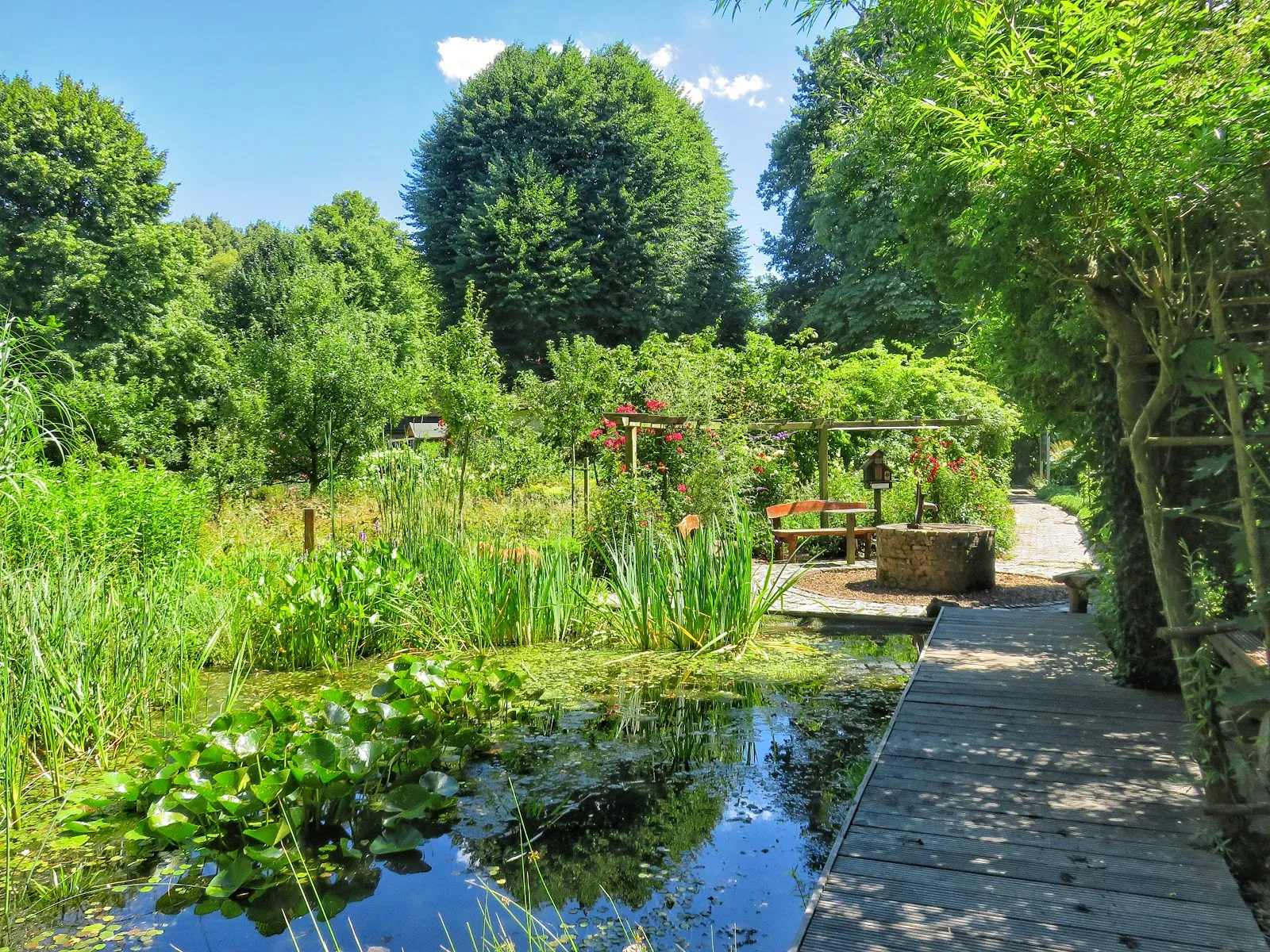 Вид на Парк Клостер с элементами исторической архитектуры и зелеными насаждениями