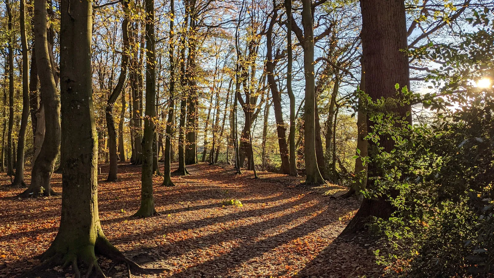Вид на Парк Клостер с элементами исторической архитектуры и зелеными насаждениями