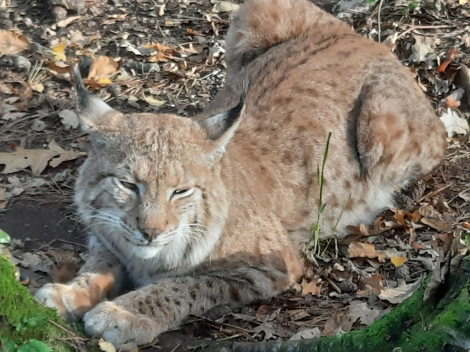 Парк Кукс-Арт, Беверштедт, Германия, аквариум, развлечения