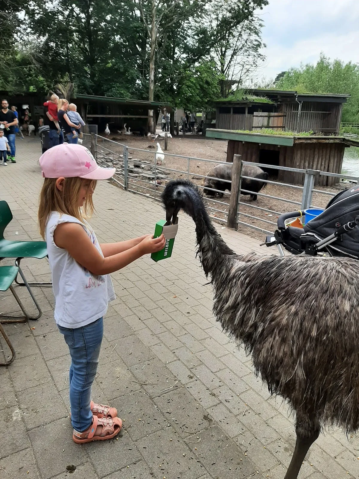 Парк Кукс-Арт, Беверштедт, Германия, аквариум, развлечения