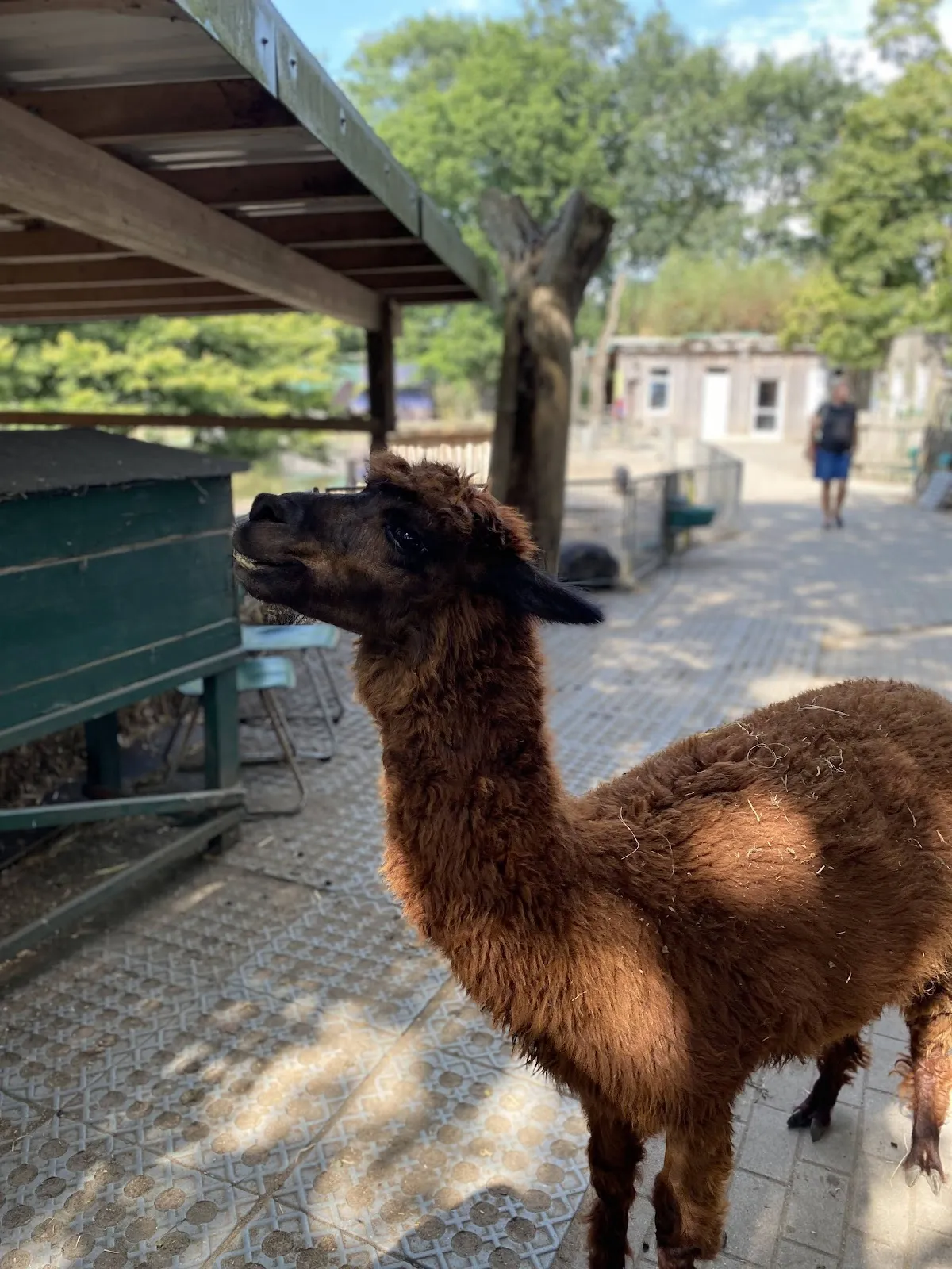 Парк Кукс-Арт, Беверштедт, Германия, аквариум, развлечения