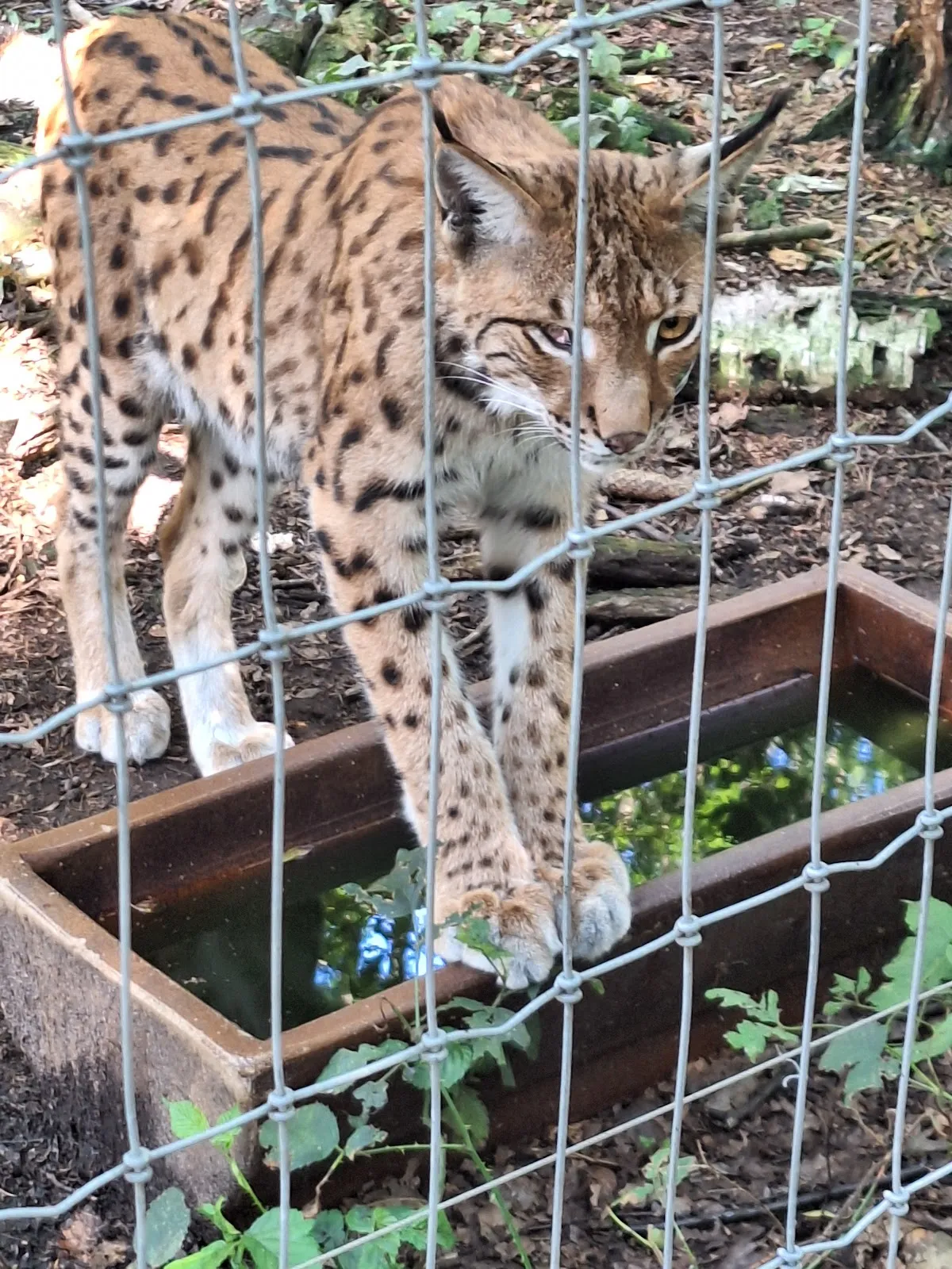 Парк Кукс-Арт, Беверштедт, Германия, аквариум, развлечения