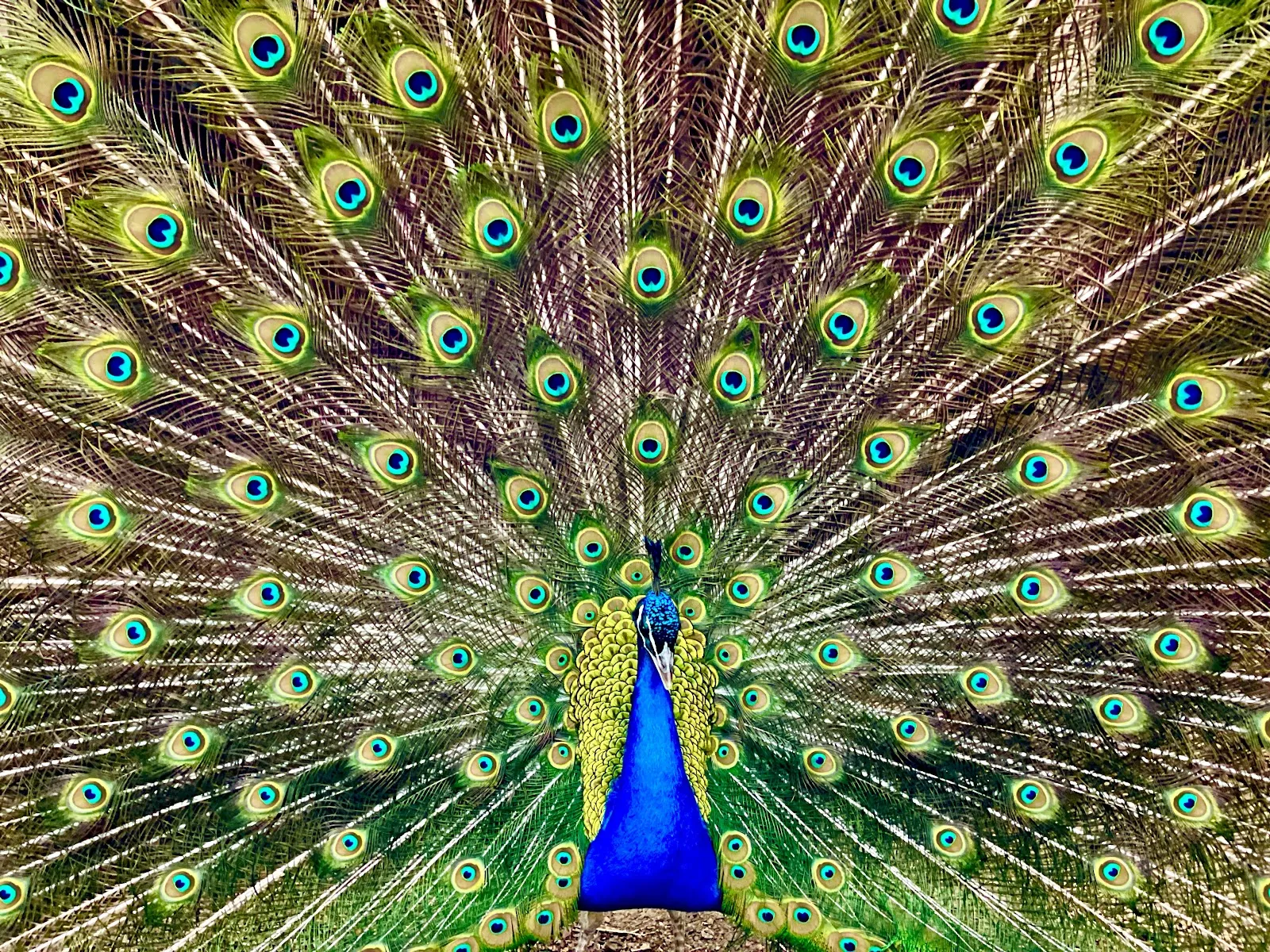 Парк Кукс-Арт, Беверштедт, Германия, аквариум, развлечения