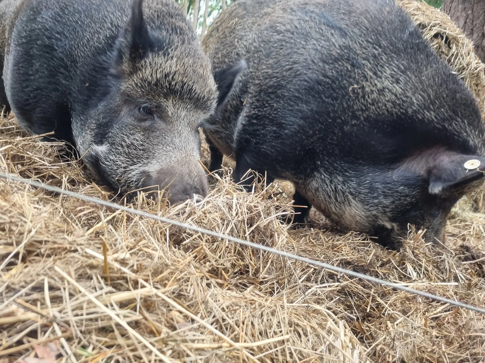 Парк Кукс-Арт, Беверштедт, Германия, аквариум, развлечения